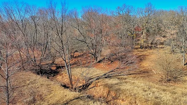 a view of a yard with a tree