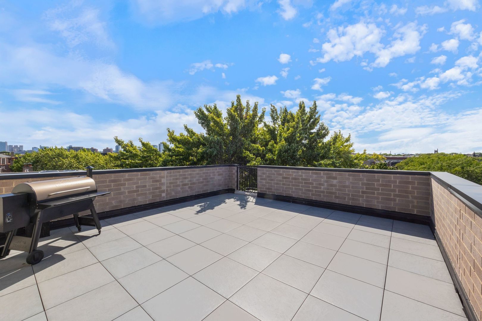 2034 North Mohawk Street, Unit 3 Chicago, IL 60614 - Photo 40 of 46 a view of a terrace