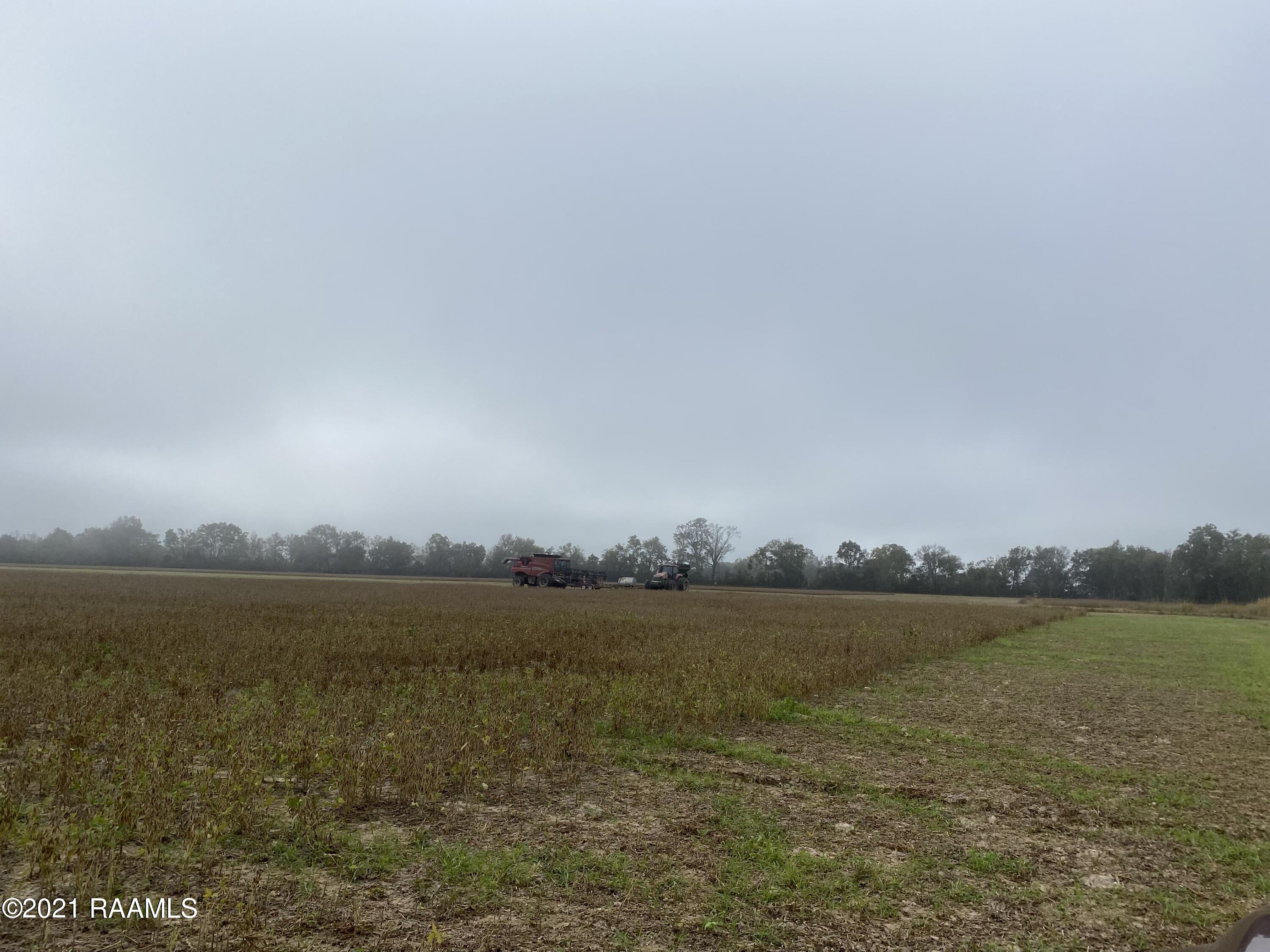 Jess Bergeron Road Opelousas, LA 70570 - Photo 2 of 6 IMG_5464