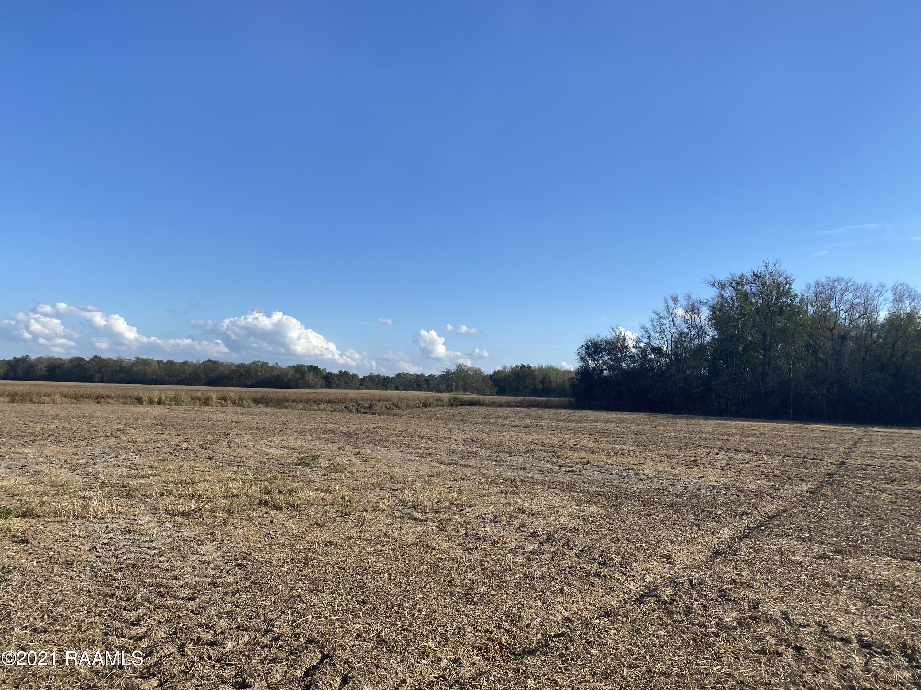 Jess Bergeron Road Opelousas, LA 70570 - Photo 4 of 6 IMG_5466