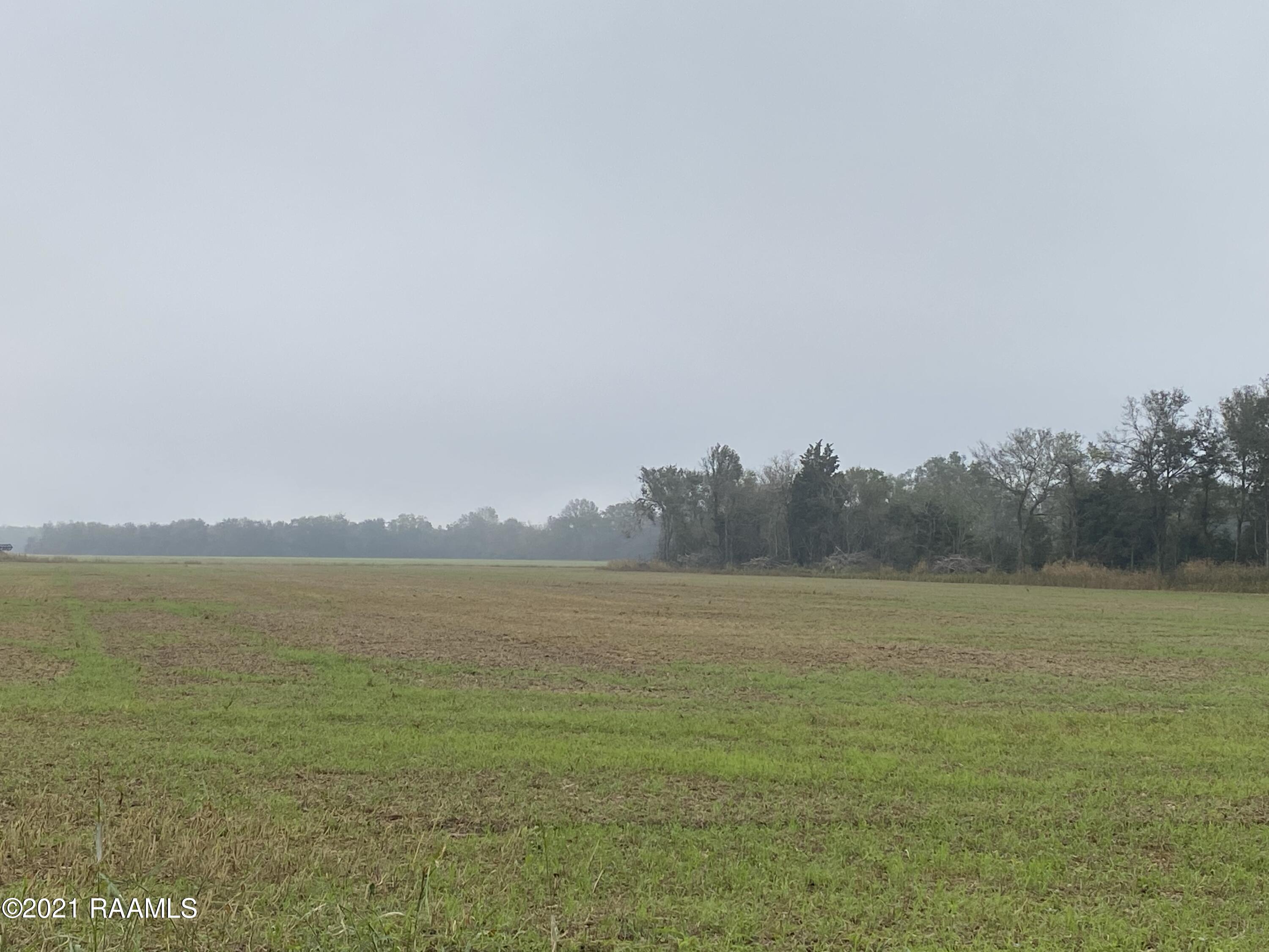 Jess Bergeron Road Opelousas, LA 70570 - Photo 5 of 6 IMG_5467