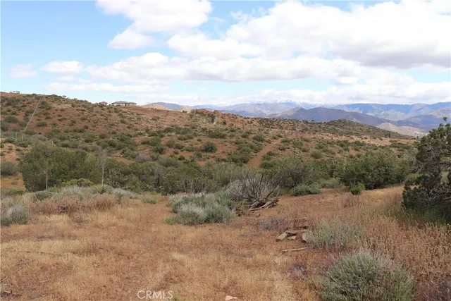 a view of a mountain in the distance in a field
