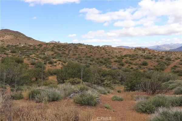 a view of a dry yard with lots of green space