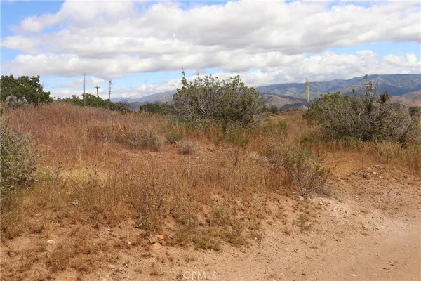 a view of a city with lush green forest