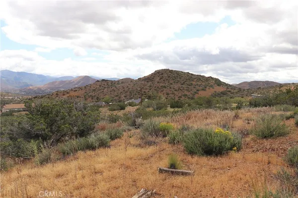 an aerial view of houses covered in trees
