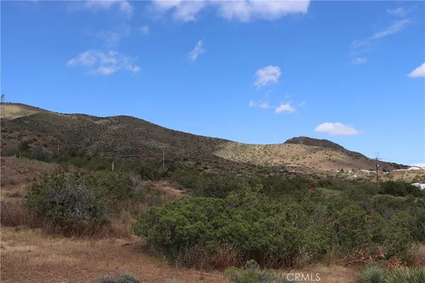 a view of a city with lush green forest