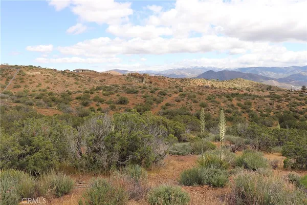 a view of a dry yard with wooden fence