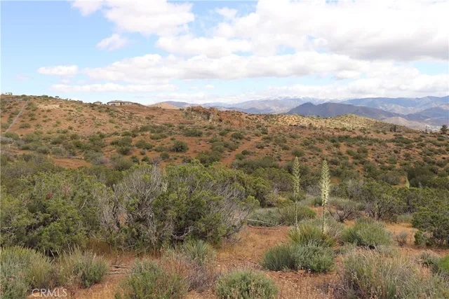 a view of a dry yard with wooden fence