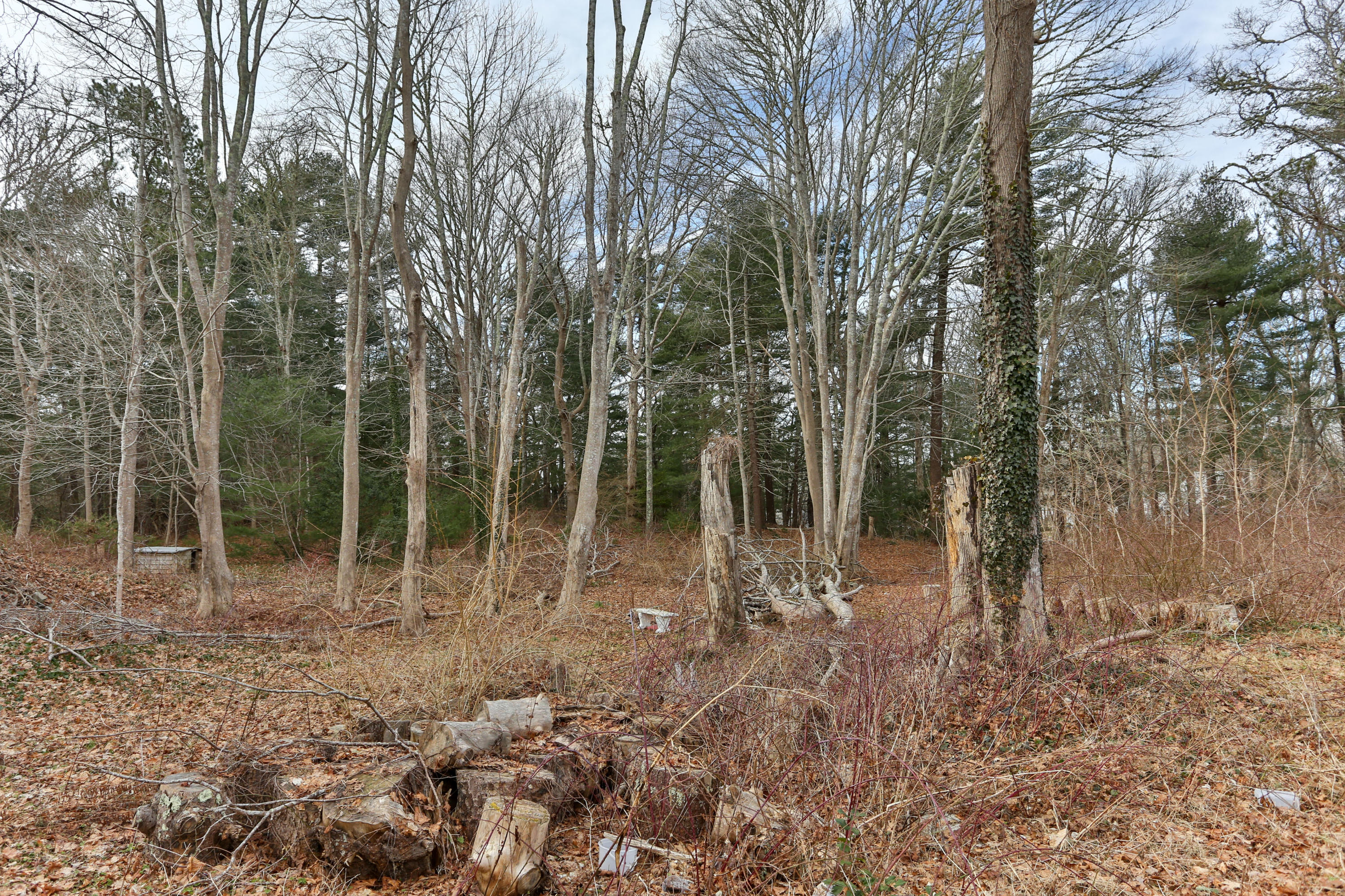 388 County Road Monument Beach, MA 02532 - Photo 17 of 23 388CouLR-17