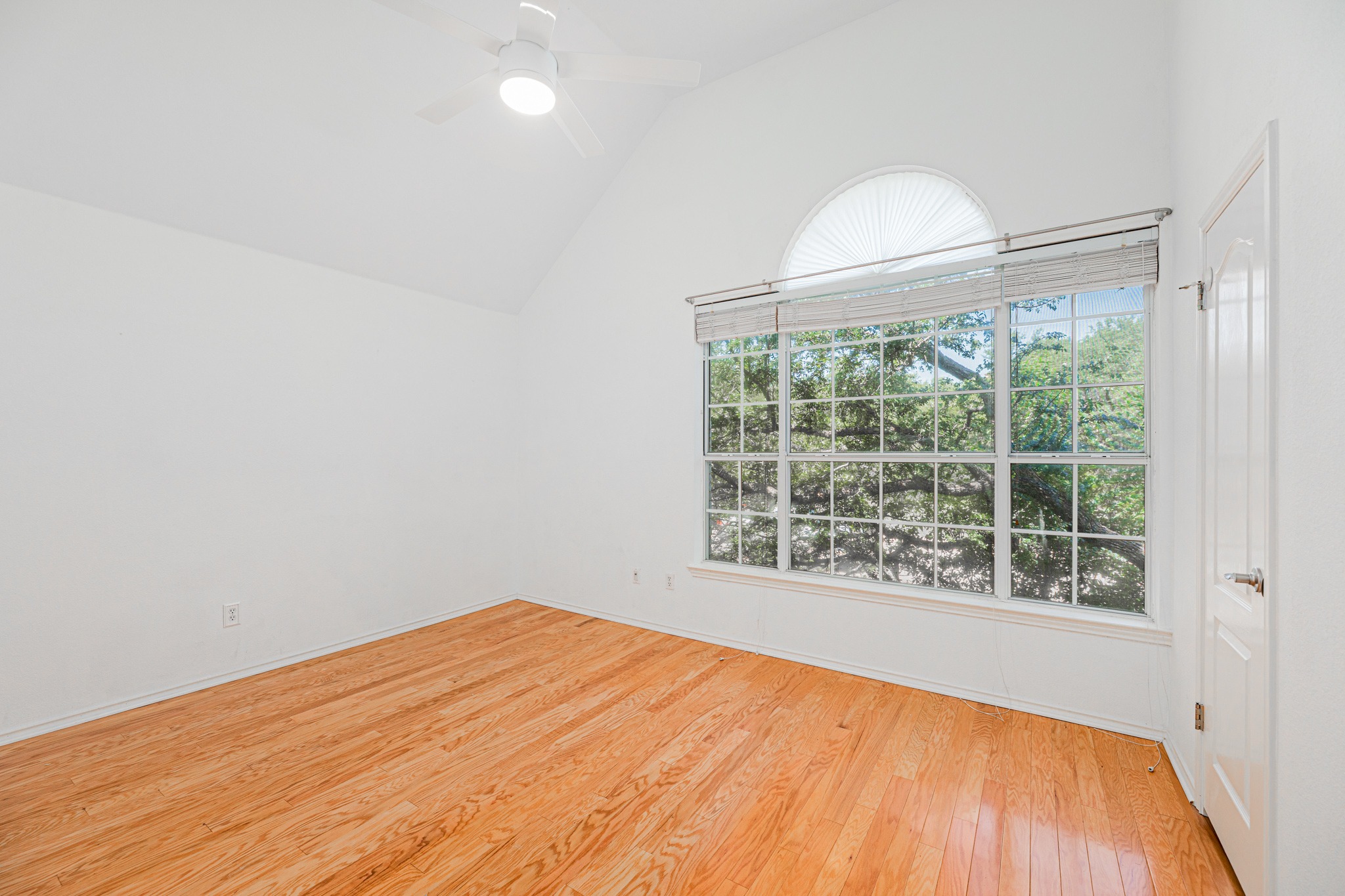 304 River Down Road Georgetown, TX 78628 - Photo 18 of 22 Vaulted ceiling room with wood-finish flooring, a large multi-pane window, and an arched transom window