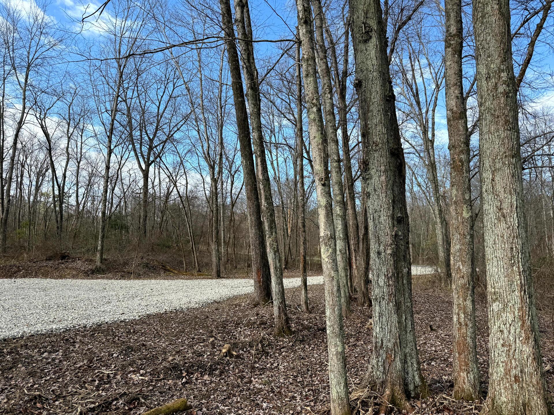 0 Dutch Ridge Road Southeast, Unit WOODS TURKEY RUN TRACT 4) New Lexington, OH 43764 - Photo 24 of 58 CT-24