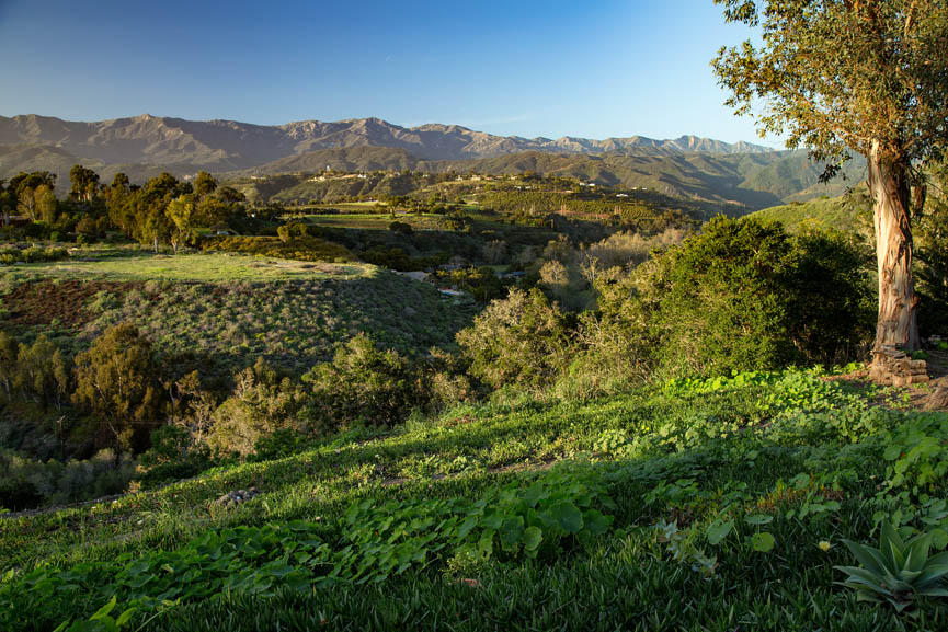 8316 Bates Road Ventura, CA 93001 - Photo 22 of 25 a view of a lush green forest with mountains in the background