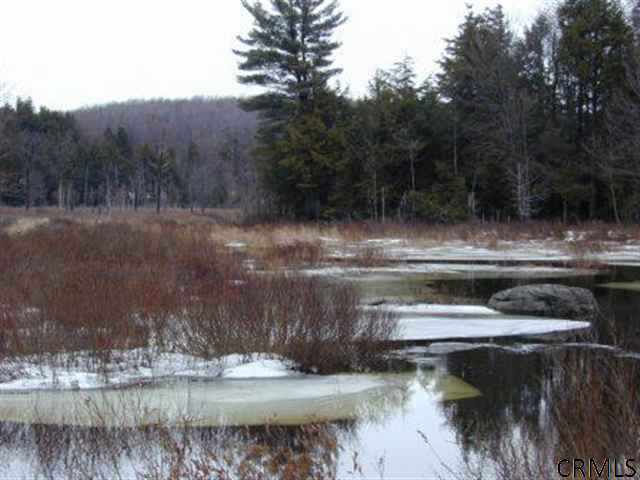 2 A Kilmer Road Providence, NY 12850 - Photo 5 of 7 Photo 5