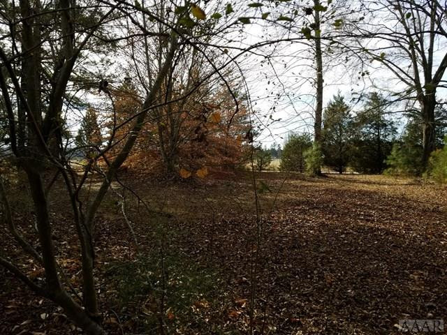 389 Tuggie Eure Road Eure, NC 27935 - Photo 14 of 34 Gallery Image 14