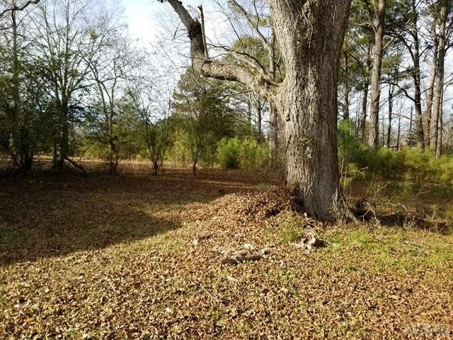 389 Tuggie Eure Road Eure, NC 27935 - Photo 15 of 34 Gallery Image 15