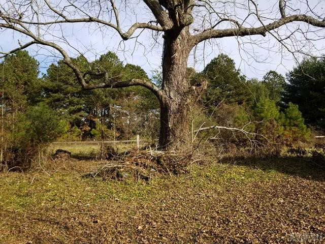 389 Tuggie Eure Road Eure, NC 27935 - Photo 8 of 34 Gallery Image 8