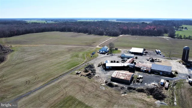 $12,000,000 | 29587 Matthewstown Road, Easton, MD 21601