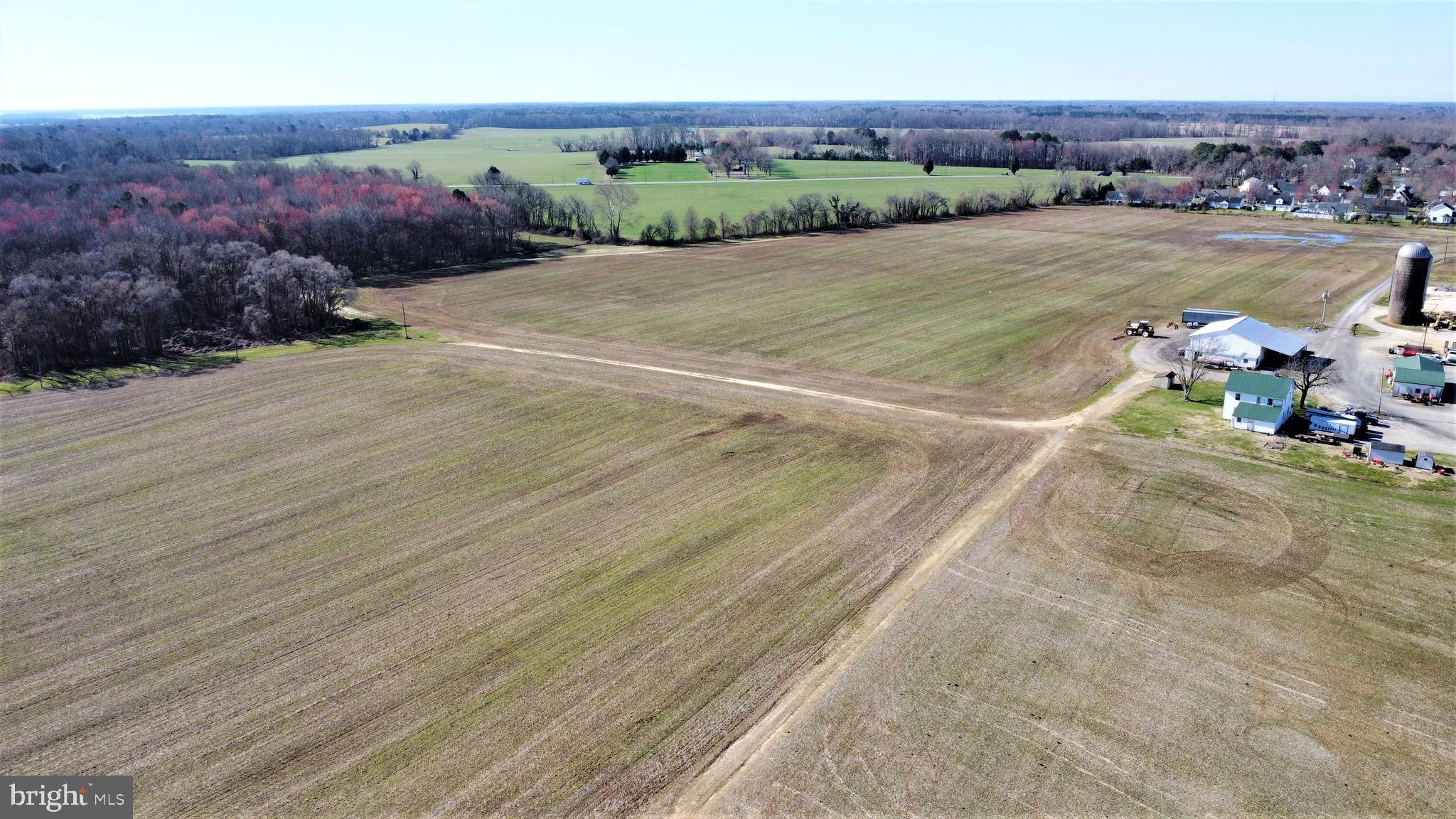 29587 Matthewstown Road Easton, MD 21601 - Photo 15 of 27