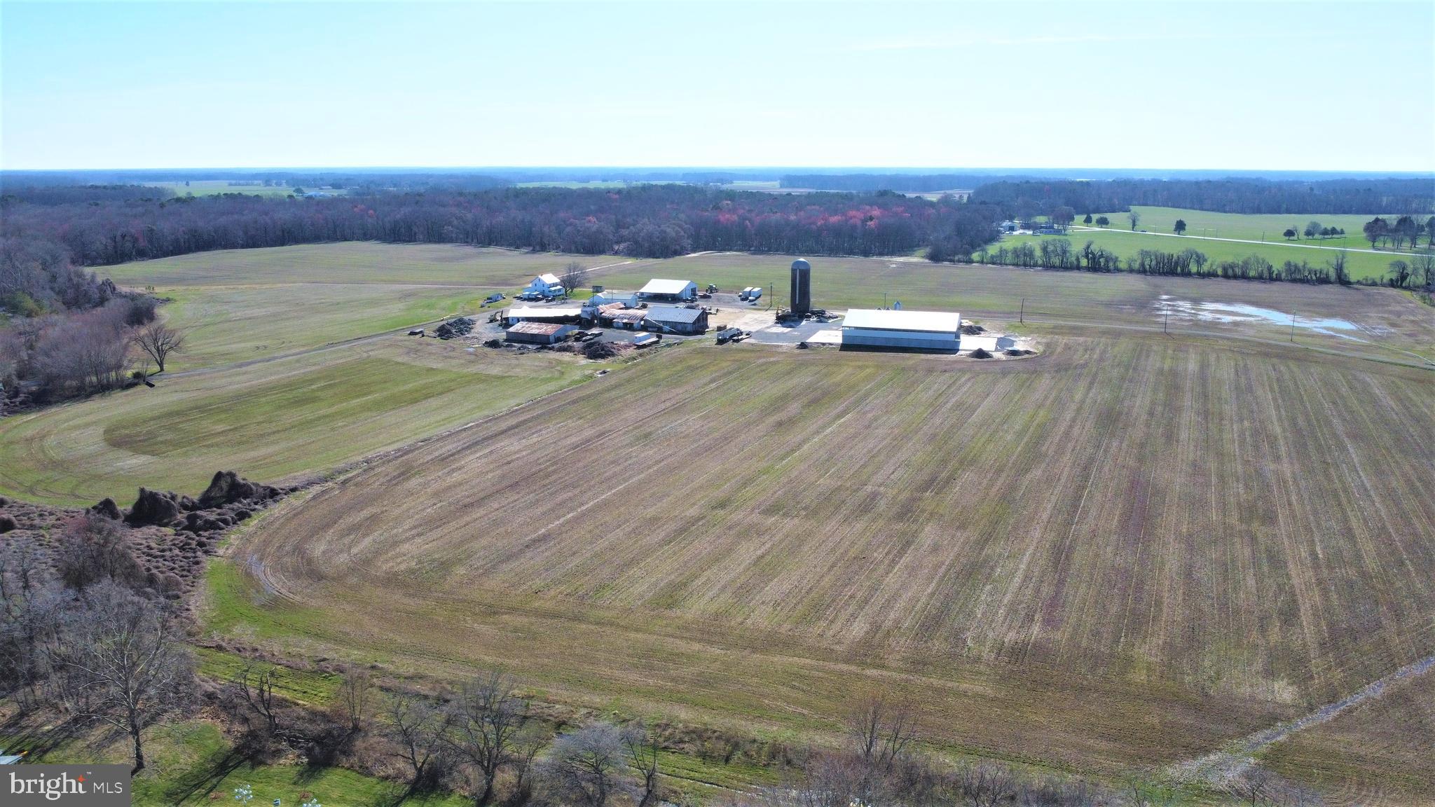 29587 Matthewstown Road Easton, MD 21601 - Photo 9 of 27