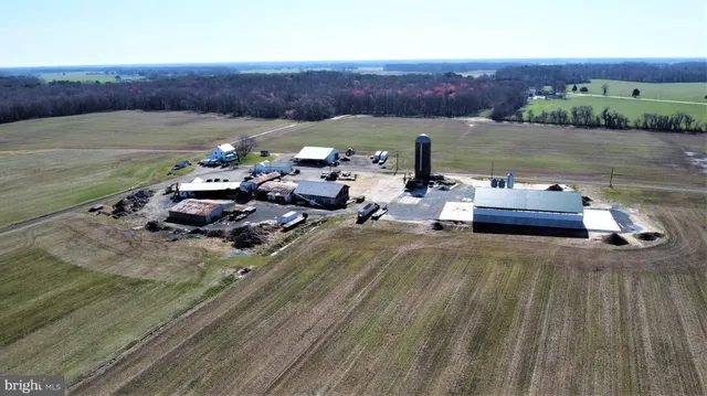 $12,000,000 | 29587 Matthewstown Road, Easton, MD 21601