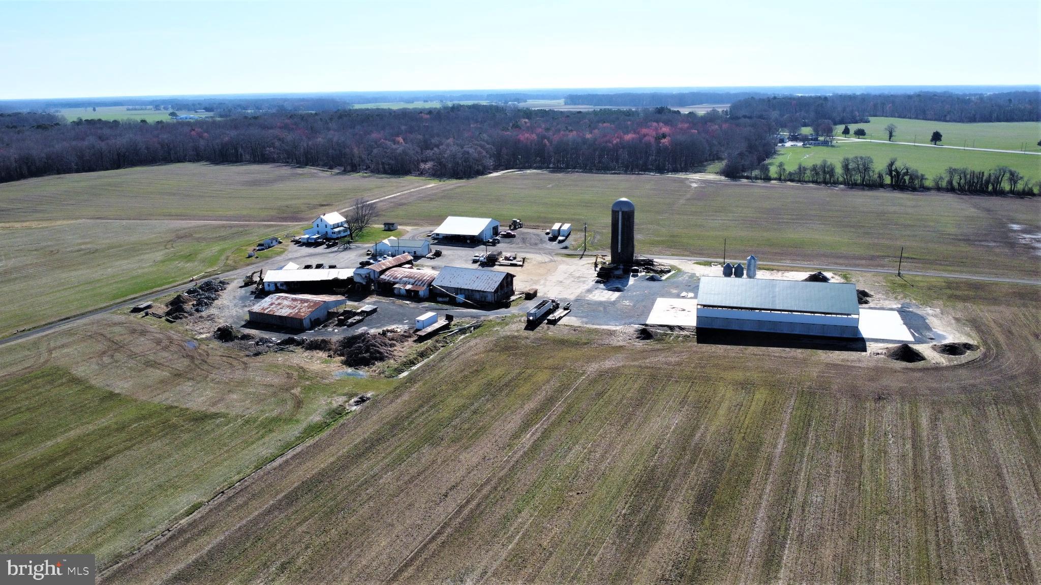 29587 Matthewstown Road Easton, MD 21601 - Photo 10 of 27