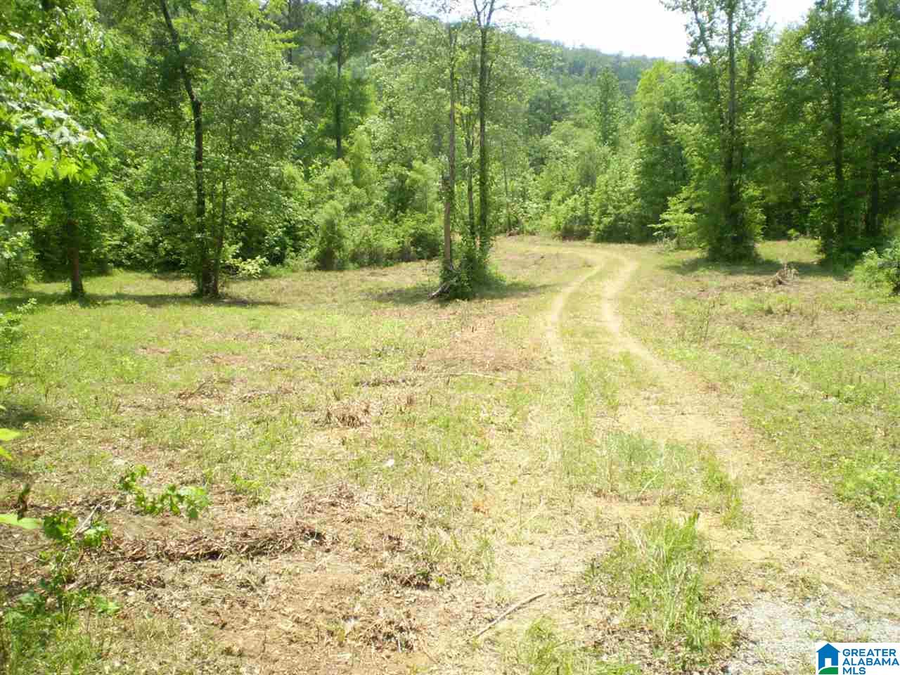 298 Waldrop Road, Unit TR 12 Ashville, AL 35953 - Photo 2 of 29
