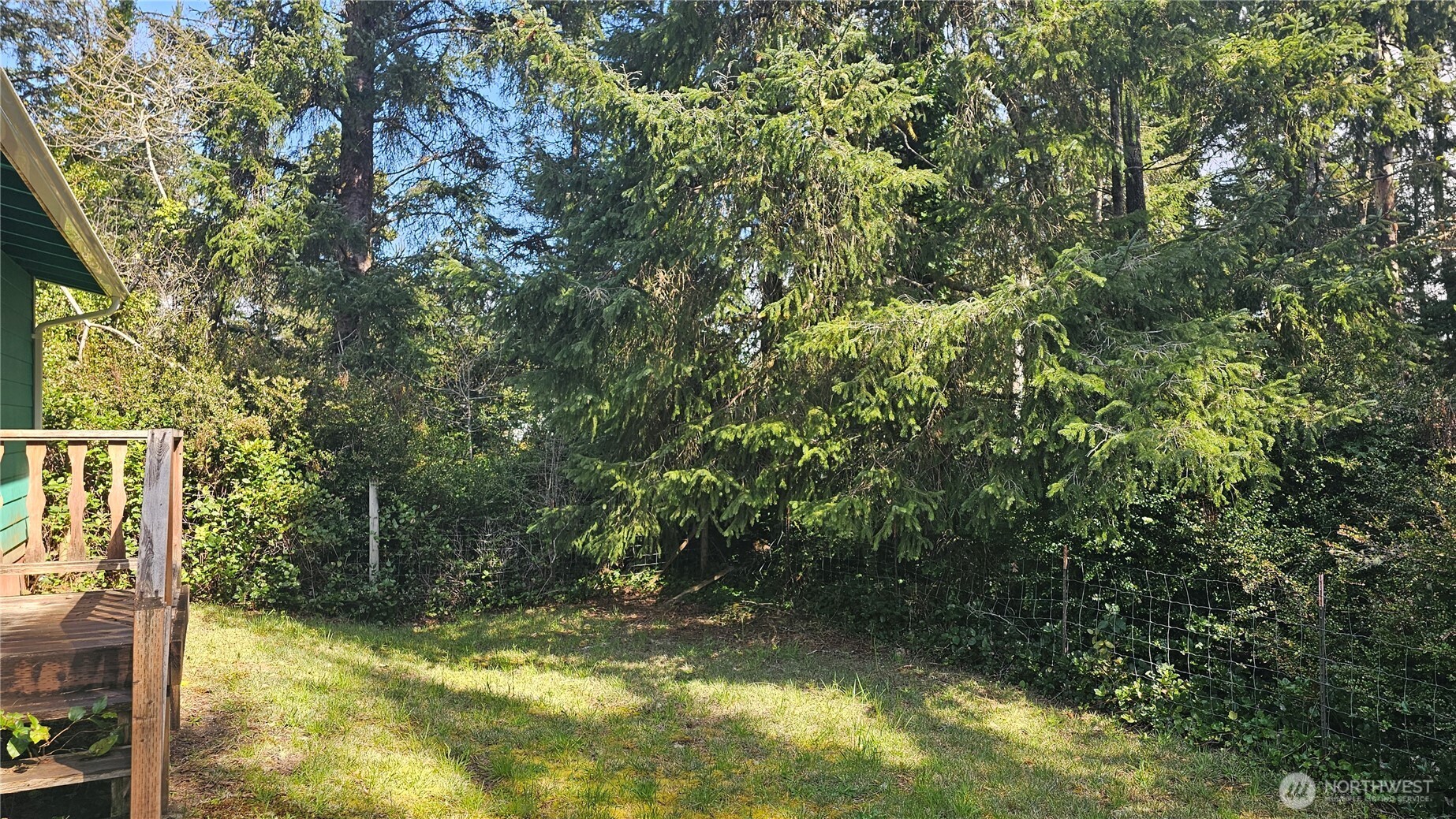 24402 P Street Ocean Park, WA 98640 - Photo 20 of 40 a view of yard