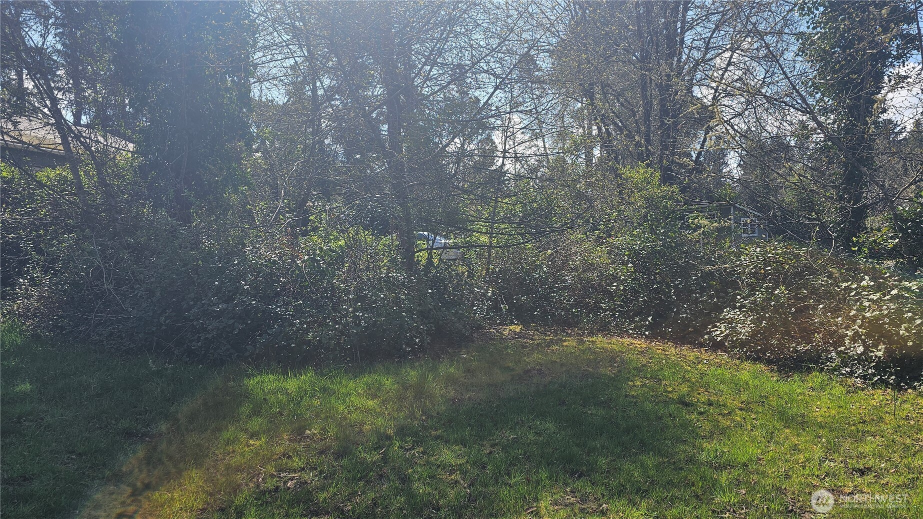 24402 P Street Ocean Park, WA 98640 - Photo 7 of 40 a view of a yard with a tree