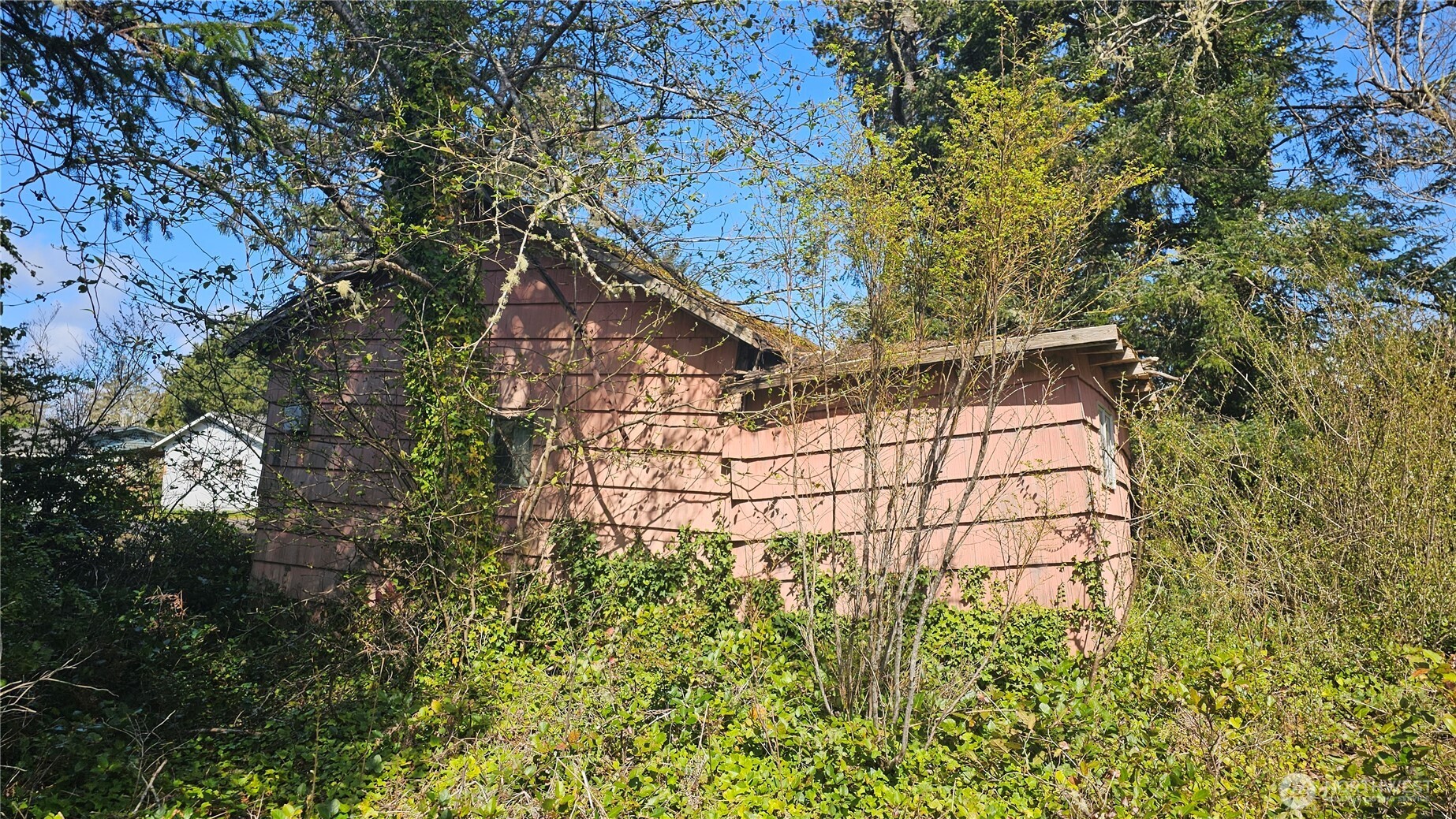 24402 P Street Ocean Park, WA 98640 - Photo 8 of 40 a picture of street side