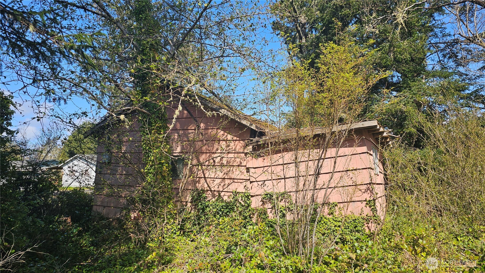24402 P Street Ocean Park, WA 98640 - Photo 9 of 40 a view of a backyard