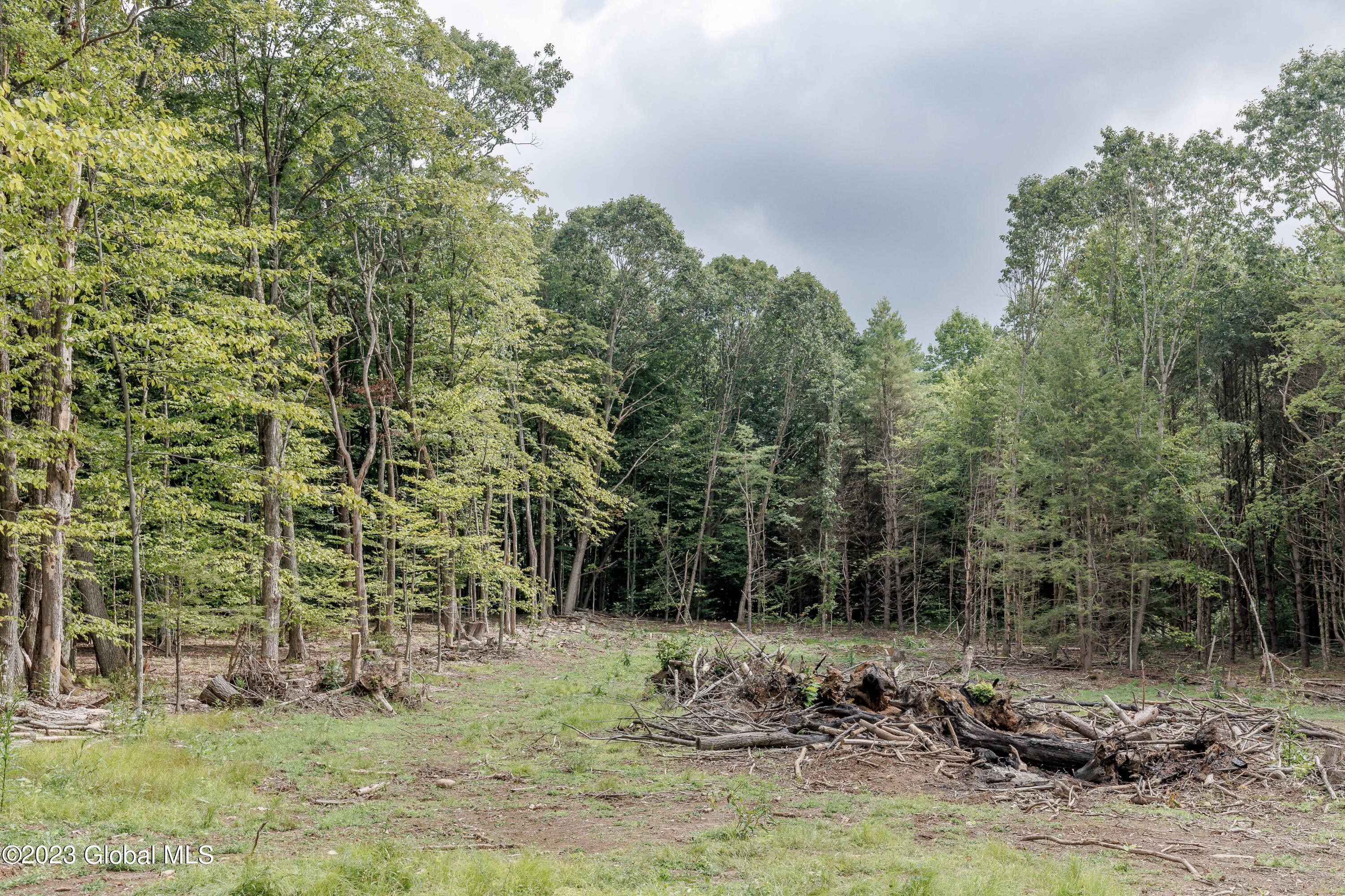 L55 Nys Rt 29 Galway, NY 12074 - Photo 11 of 27 Galway Land-9