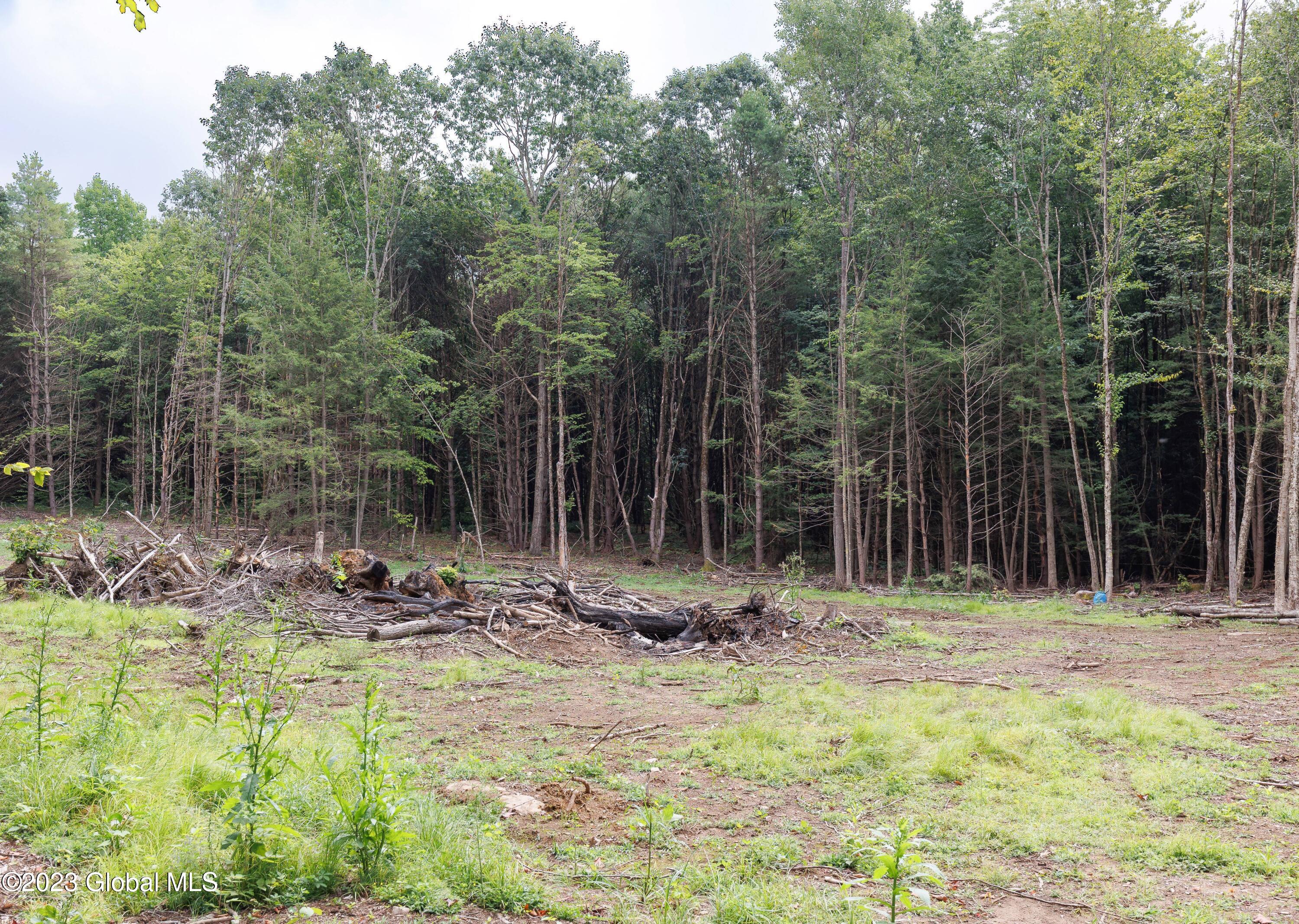 L55 Nys Rt 29 Galway, NY 12074 - Photo 12 of 27 Galway Land-10