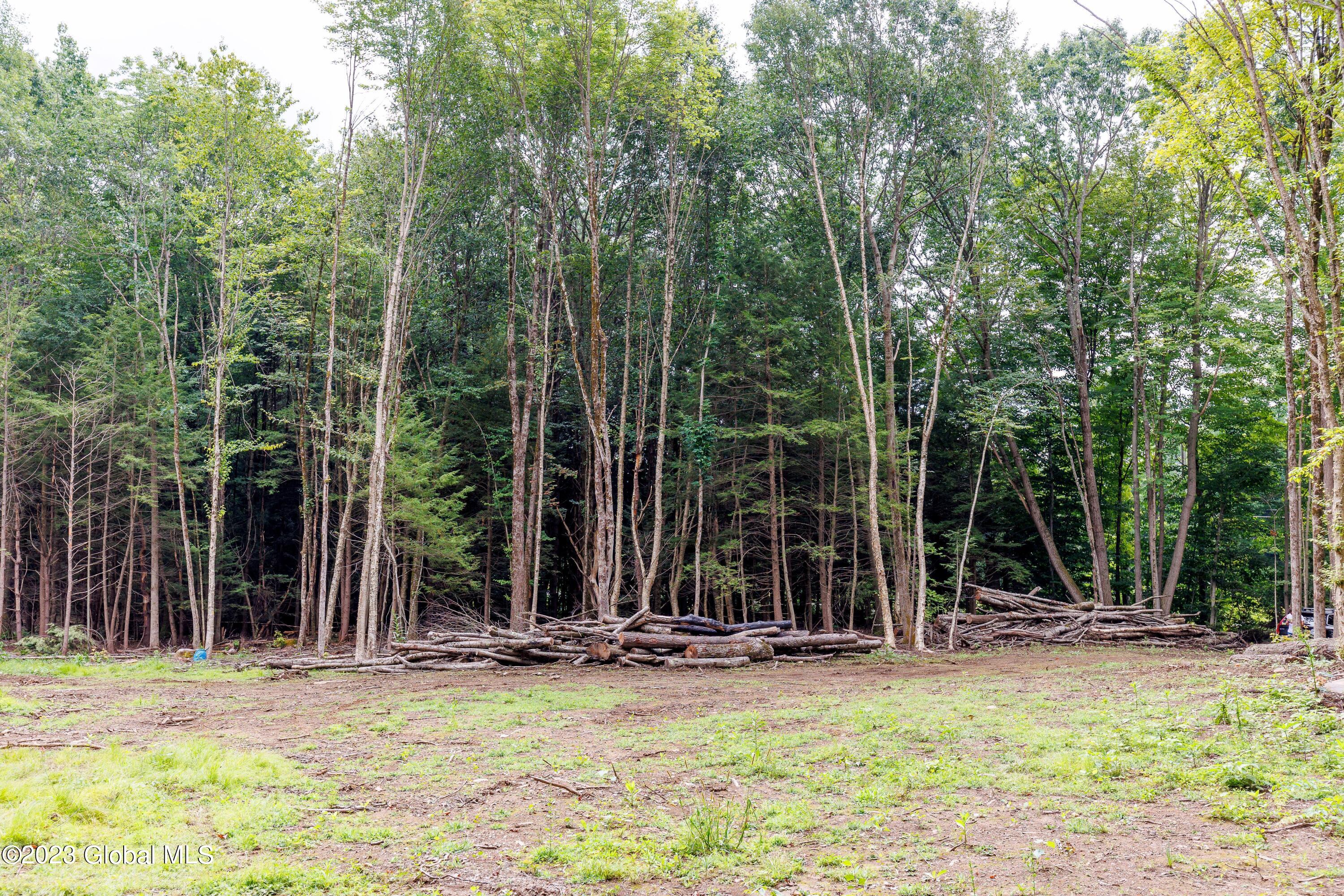 L55 Nys Rt 29 Galway, NY 12074 - Photo 13 of 27 Galway Land-11