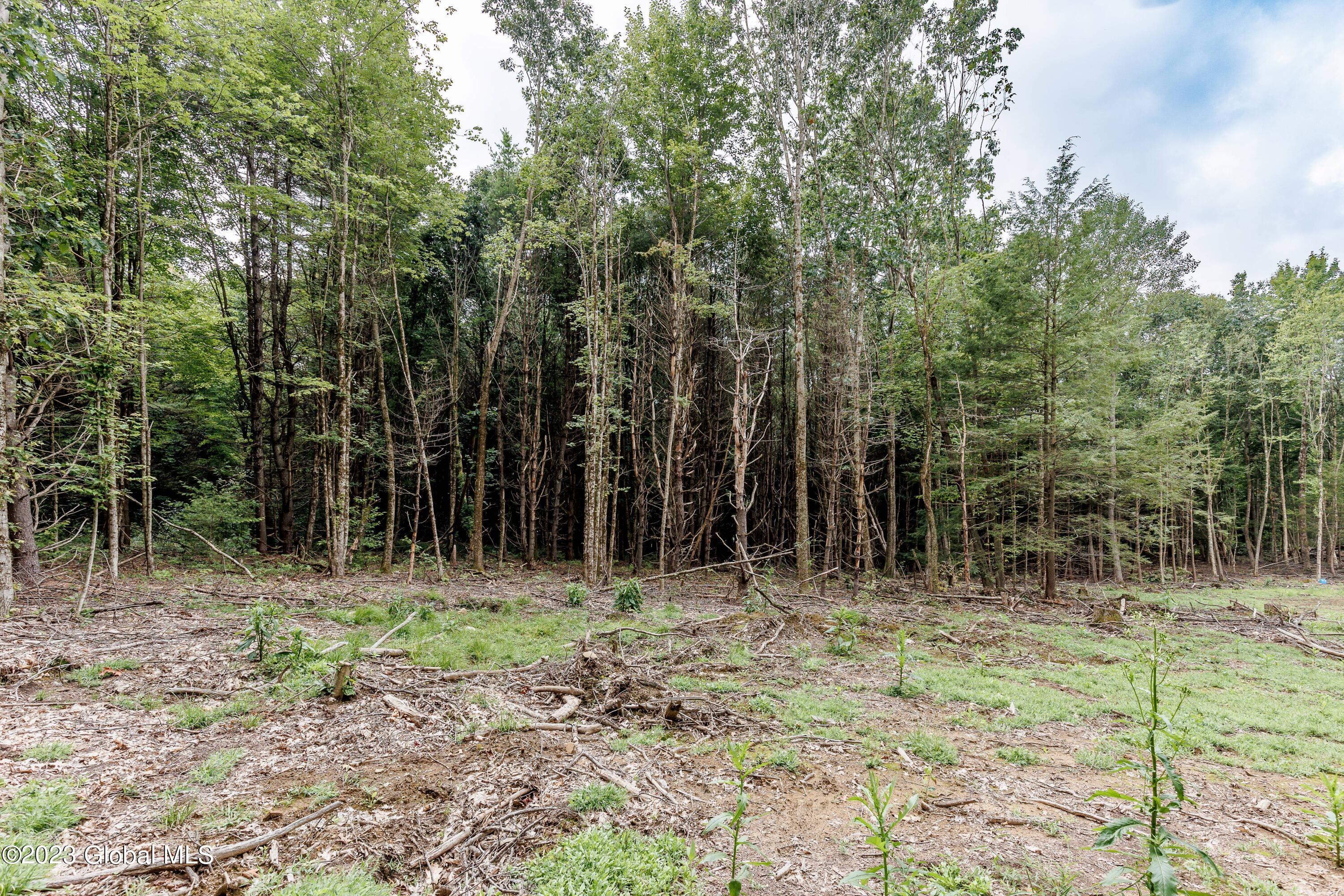 L55 Nys Rt 29 Galway, NY 12074 - Photo 14 of 27 Galway Land-13