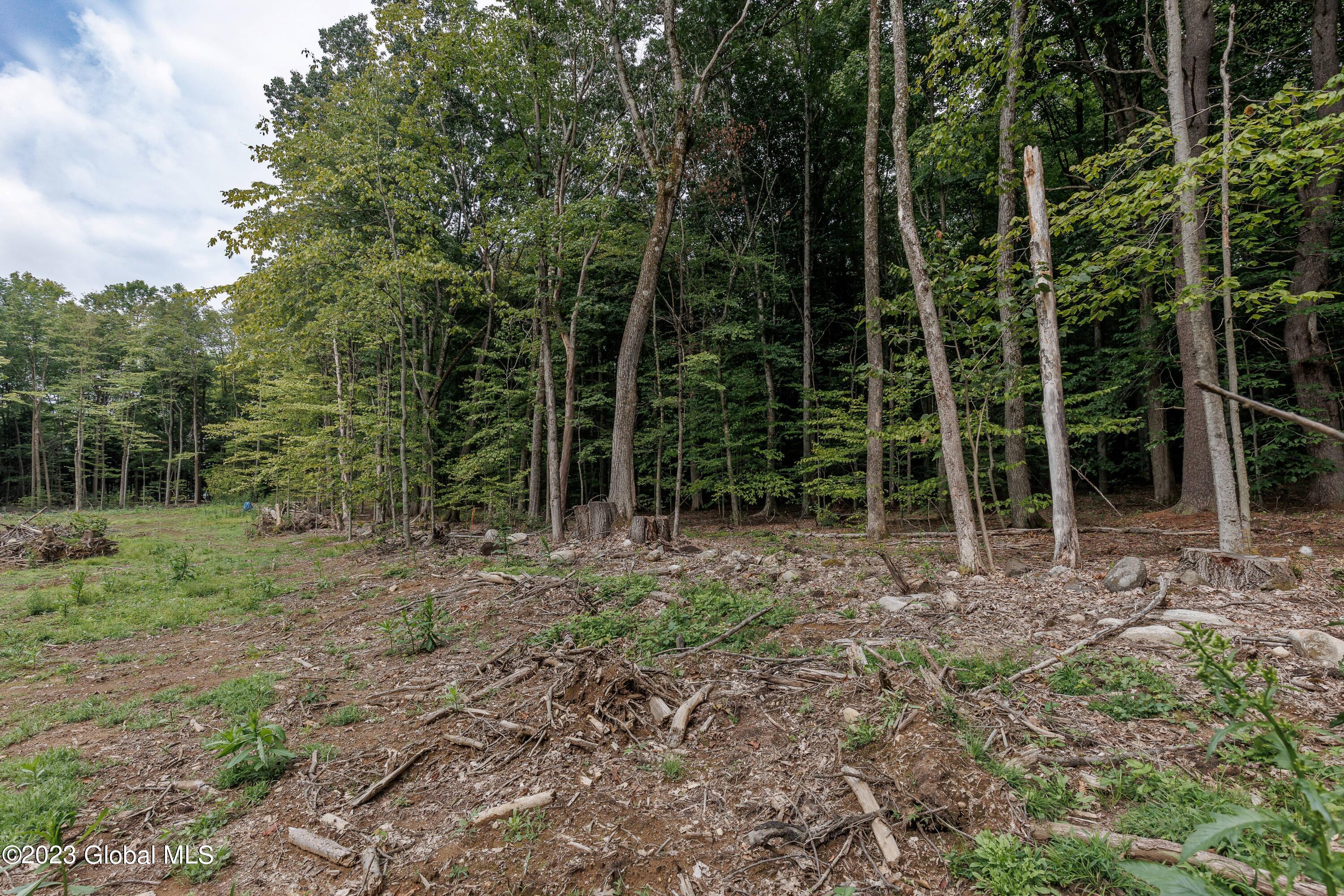 L55 Nys Rt 29 Galway, NY 12074 - Photo 15 of 27 Galway Land-14