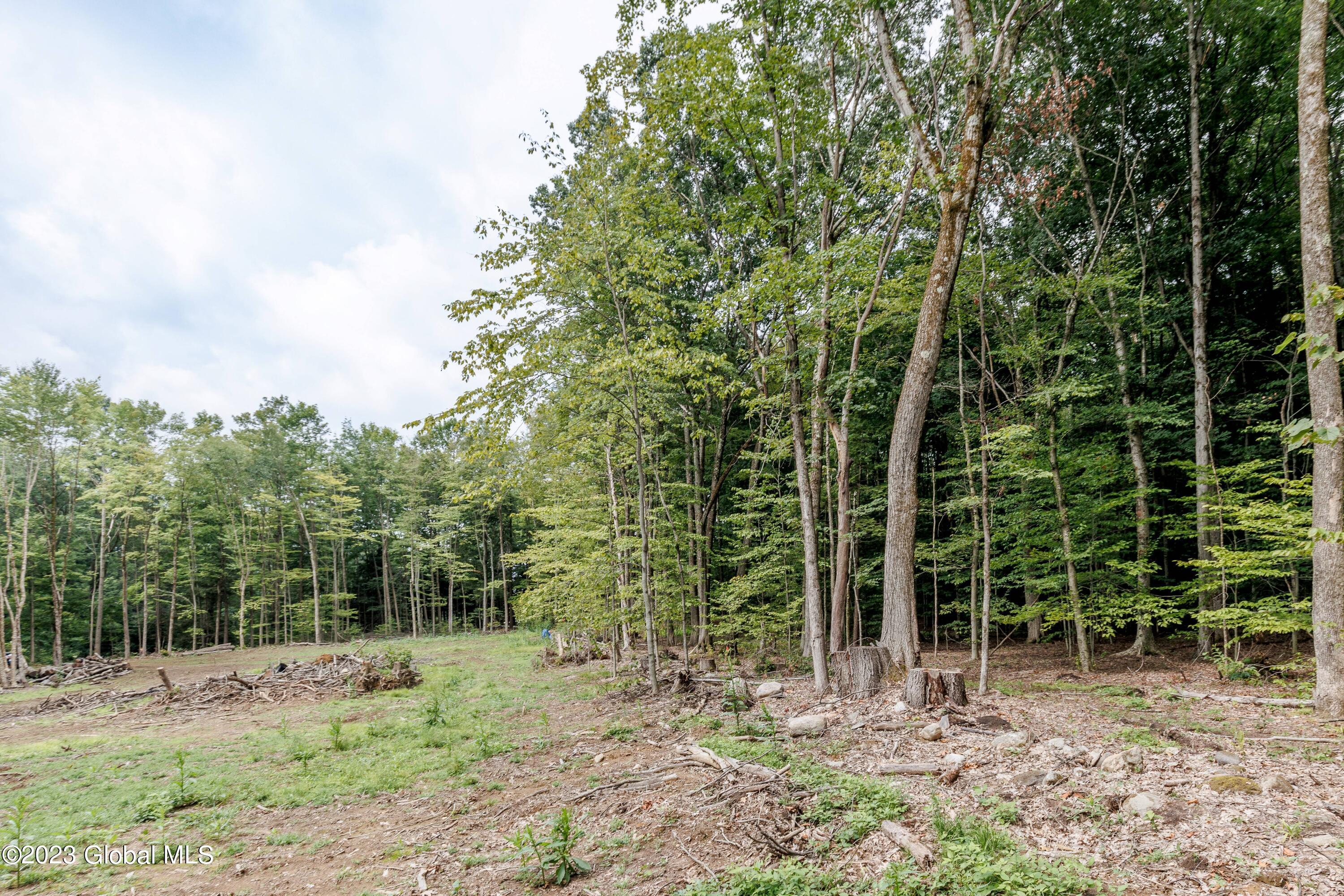 L55 Nys Rt 29 Galway, NY 12074 - Photo 16 of 27 Galway Land-15