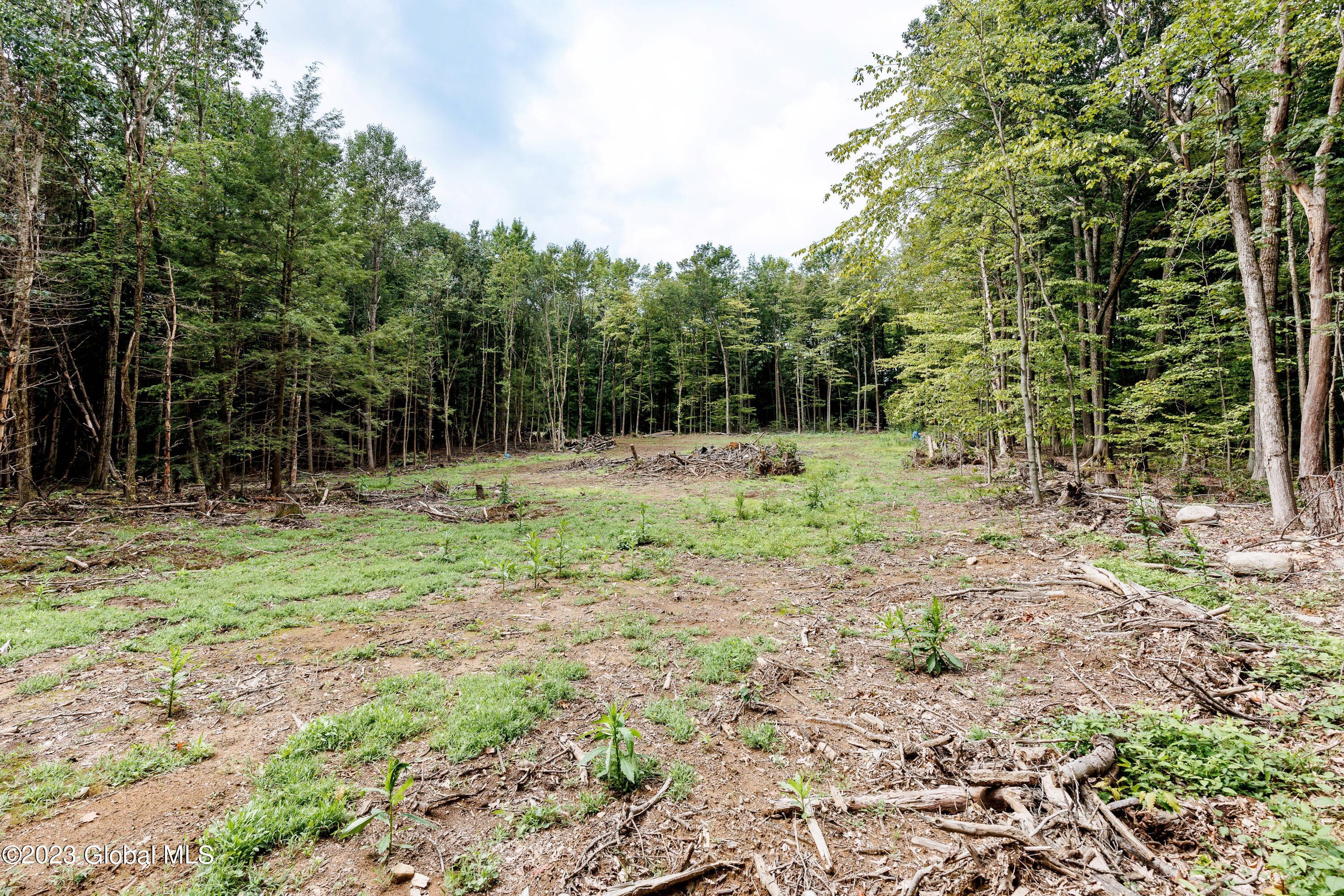 L55 Nys Rt 29 Galway, NY 12074 - Photo 17 of 27 Galway Land-16