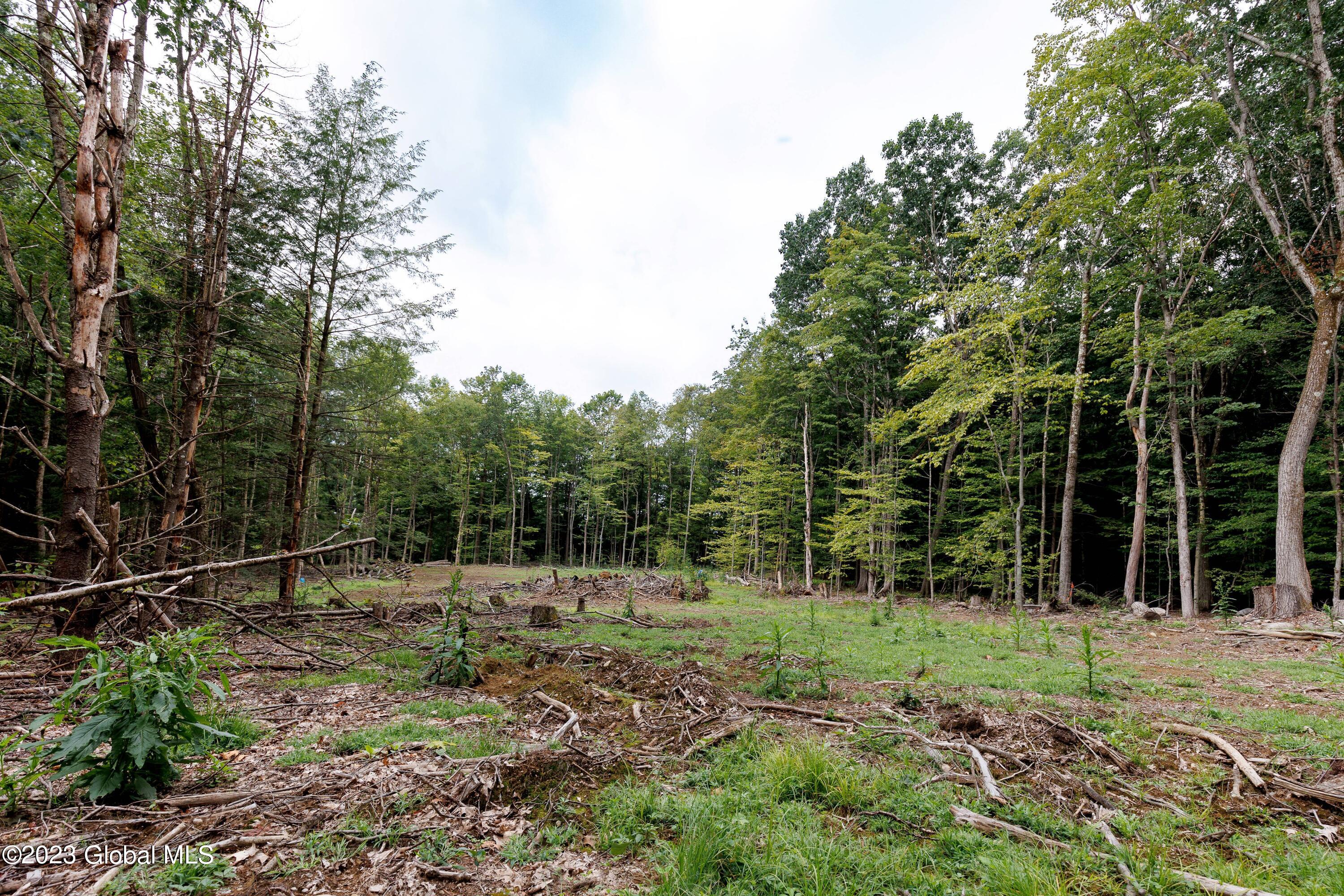 L55 Nys Rt 29 Galway, NY 12074 - Photo 18 of 27 Galway Land-18