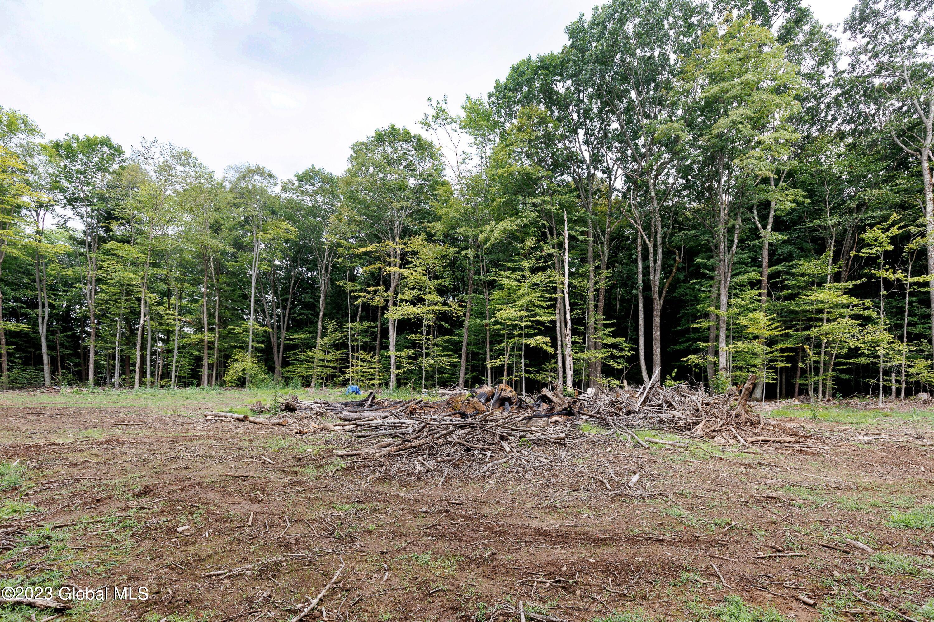 L55 Nys Rt 29 Galway, NY 12074 - Photo 19 of 27 Galway Land-19