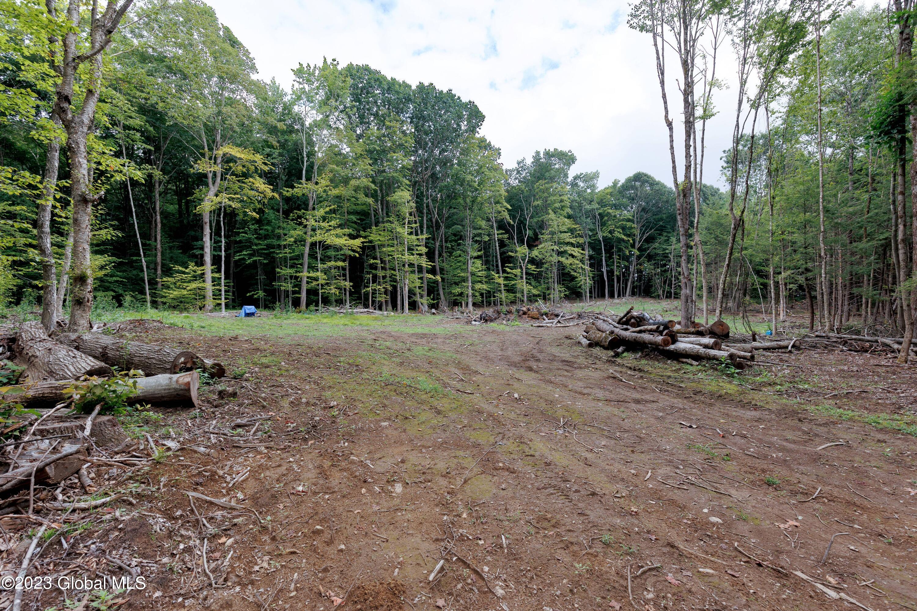 L55 Nys Rt 29 Galway, NY 12074 - Photo 20 of 27 Galway Land-20