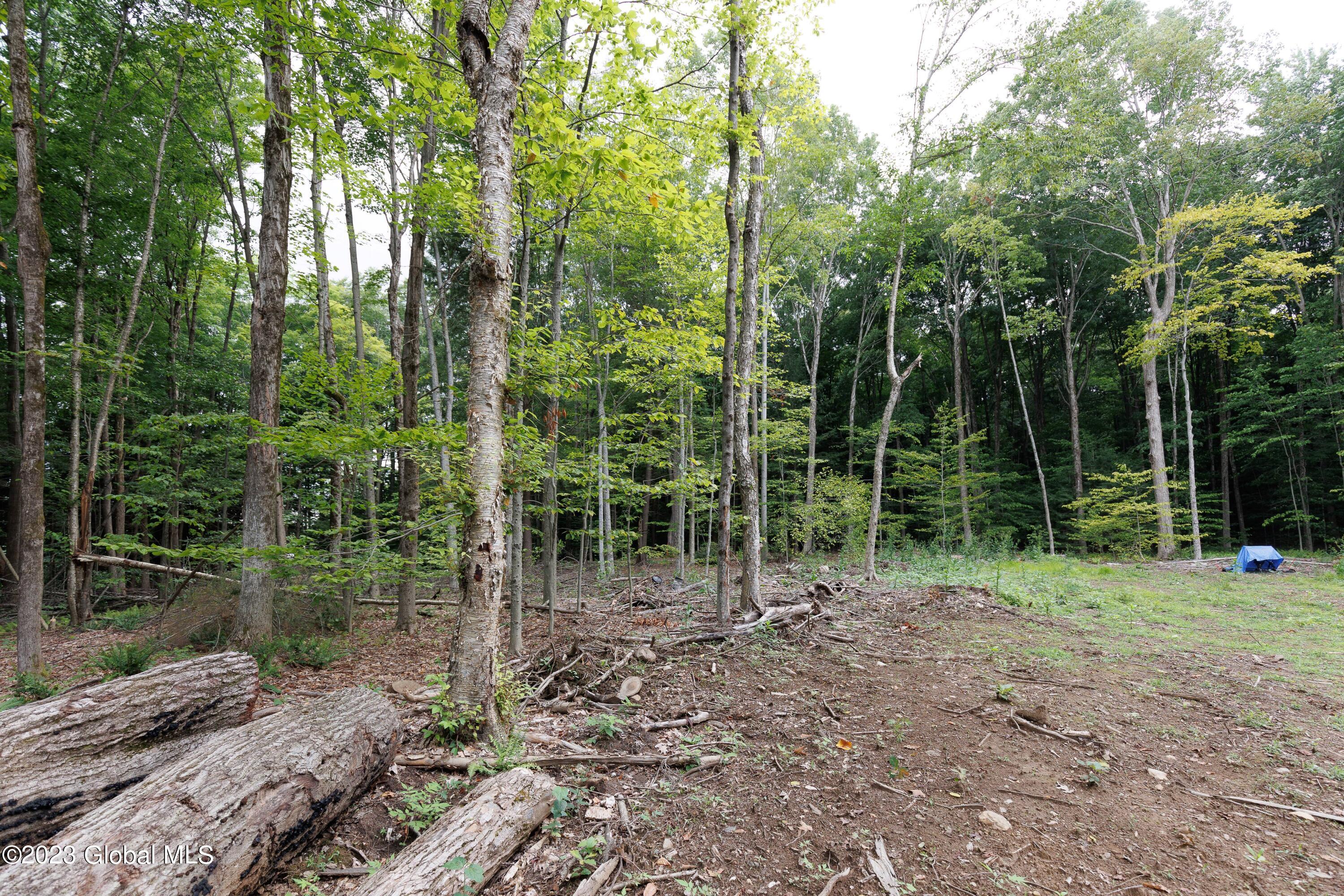 L55 Nys Rt 29 Galway, NY 12074 - Photo 21 of 27 Galway Land-21