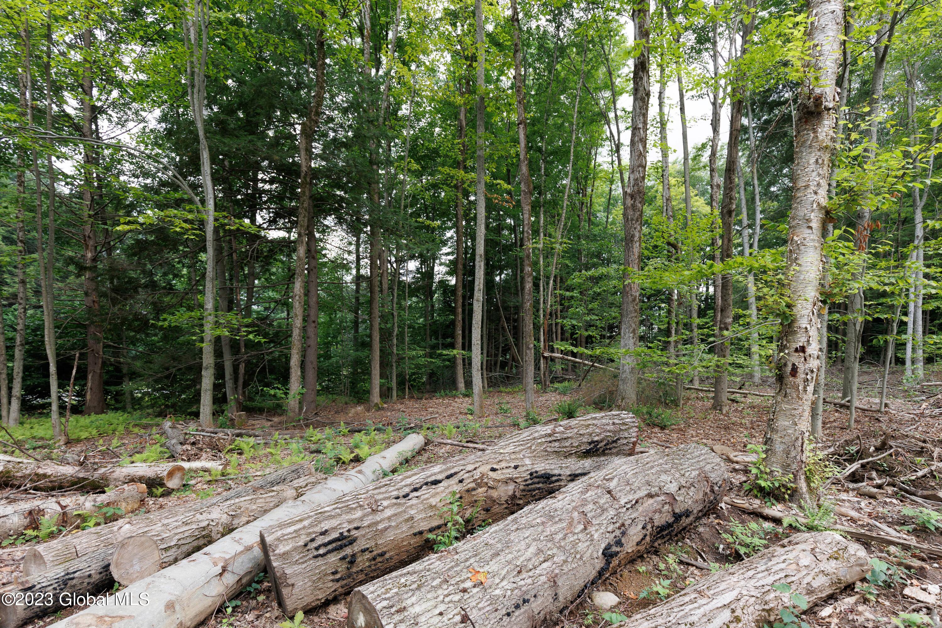 L55 Nys Rt 29 Galway, NY 12074 - Photo 22 of 27 Galway Land-22