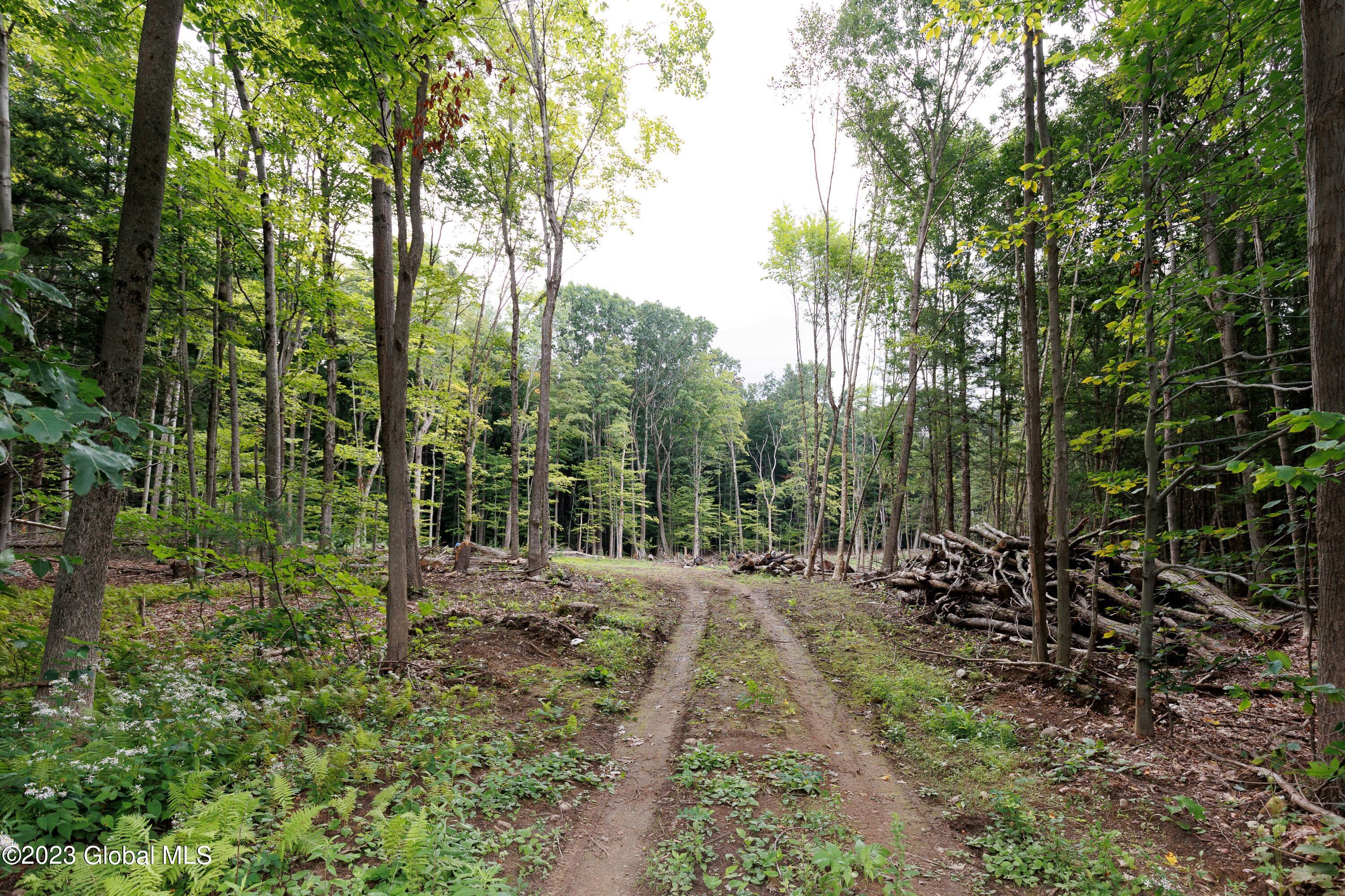 L55 Nys Rt 29 Galway, NY 12074 - Photo 23 of 27 Galway Land-23