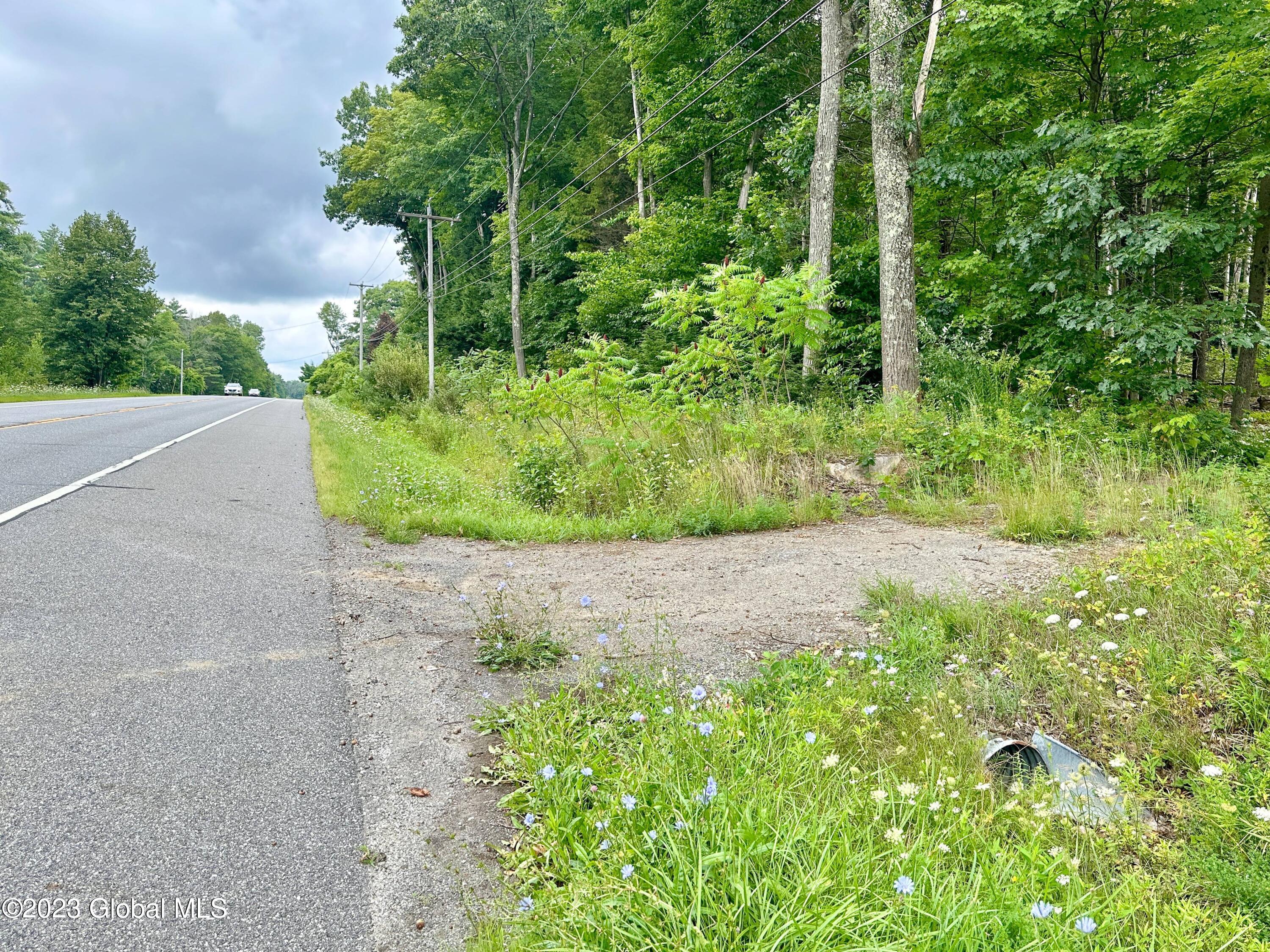 L55 Nys Rt 29 Galway, NY 12074 - Photo 25 of 27 Galway Land-25