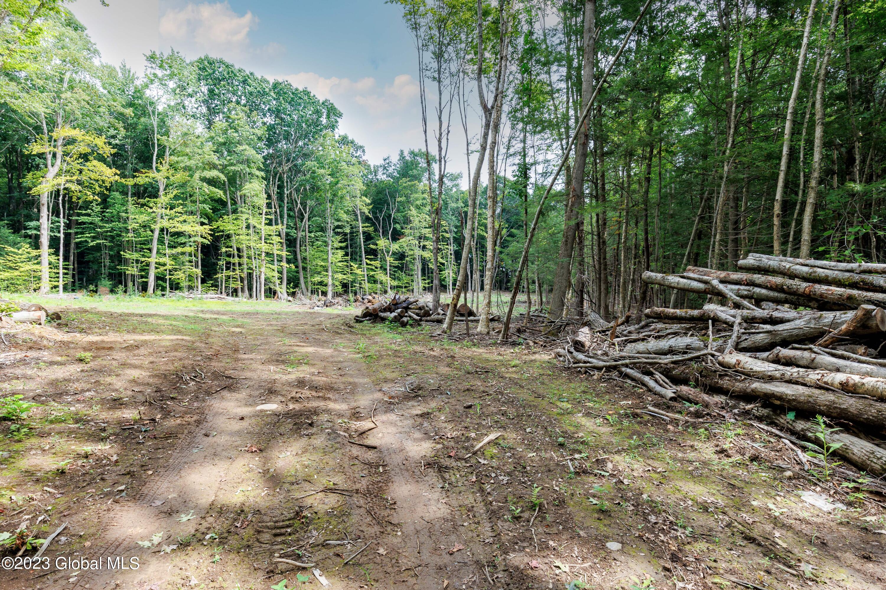 L55 Nys Rt 29 Galway, NY 12074 - Photo 5 of 27 Galway Land.