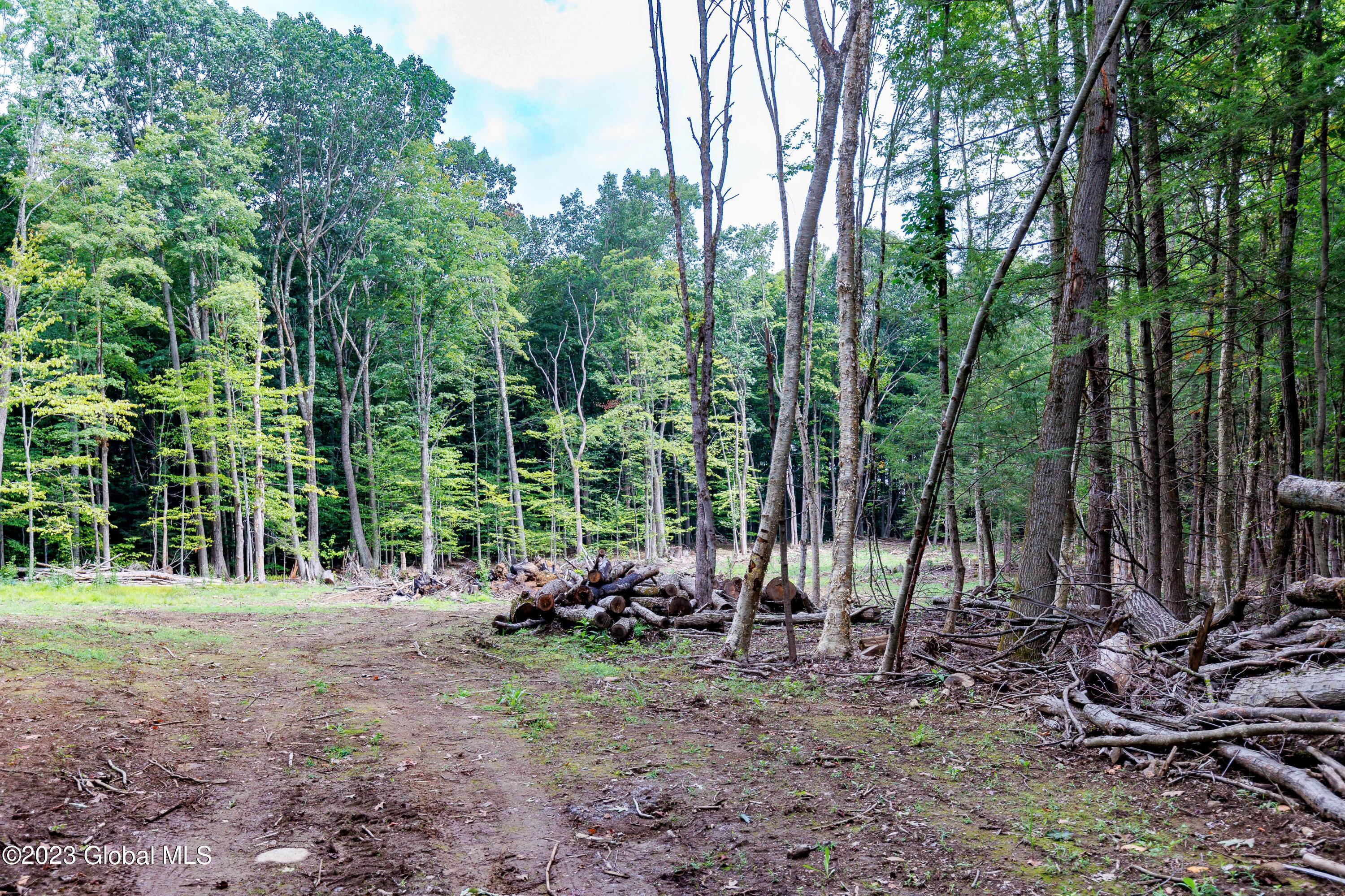 L55 Nys Rt 29 Galway, NY 12074 - Photo 6 of 27 Galway Land-4