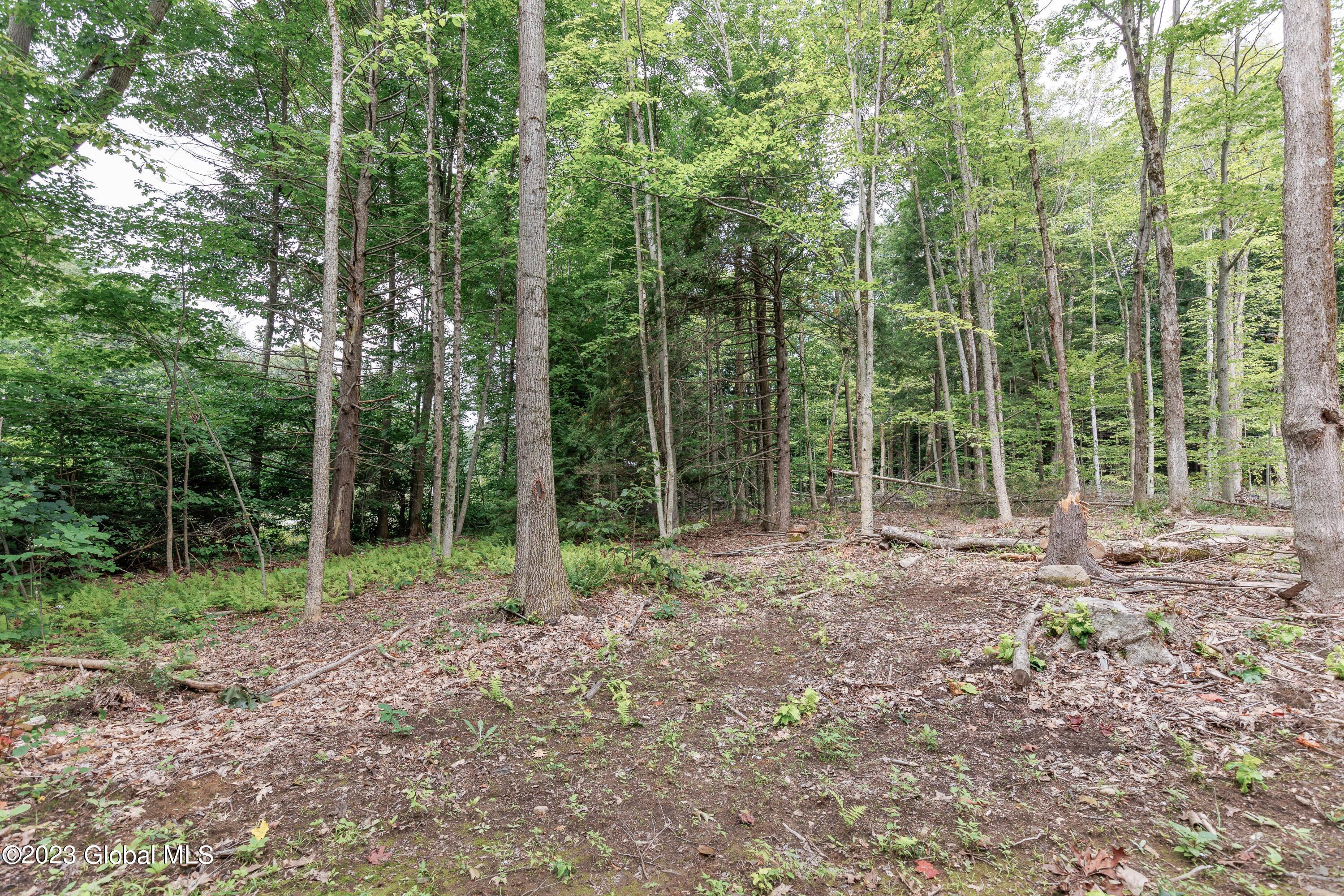 L55 Nys Rt 29 Galway, NY 12074 - Photo 7 of 27 Galway Land-5