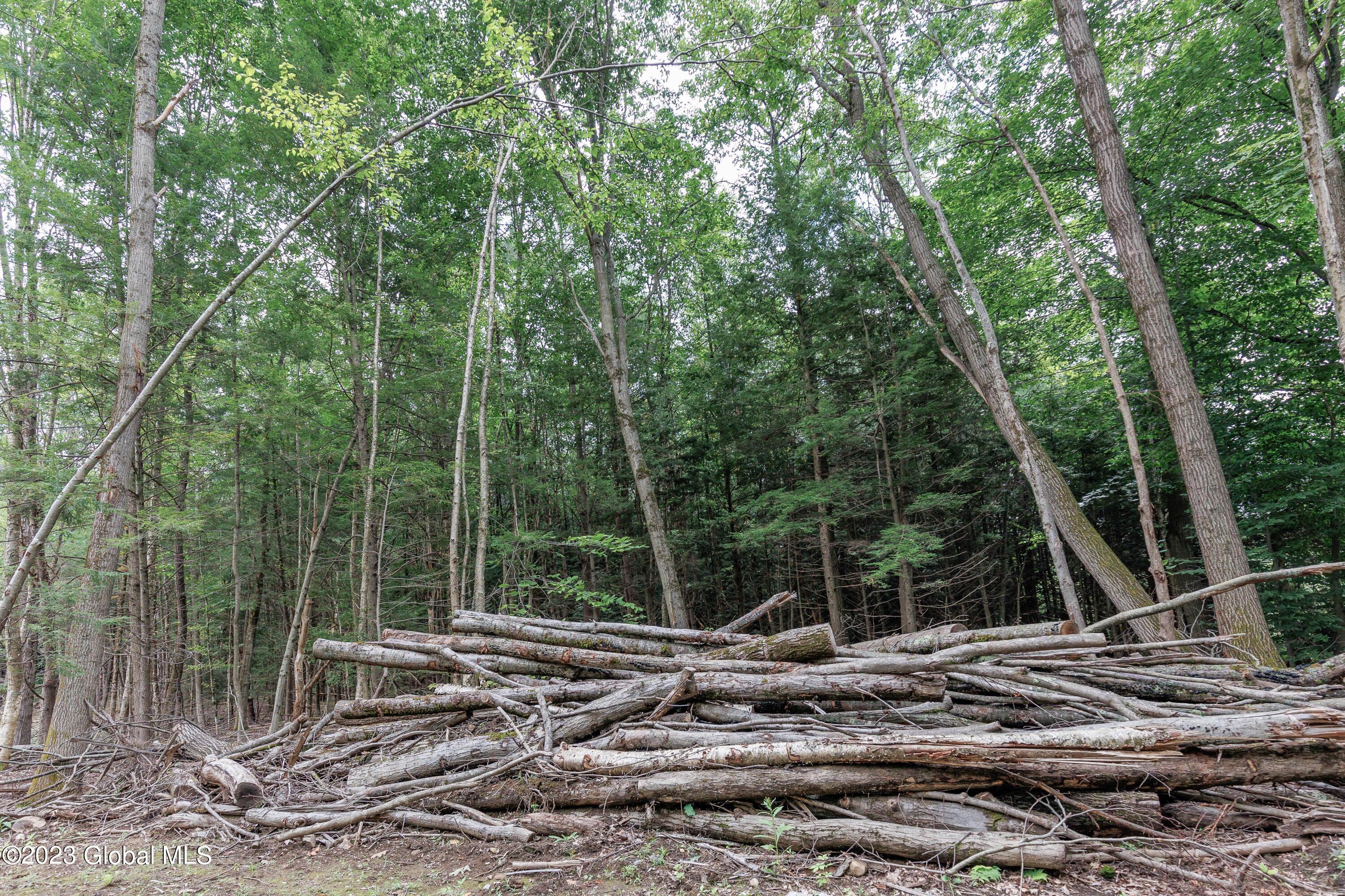 L55 Nys Rt 29 Galway, NY 12074 - Photo 8 of 27 Galway Land-6