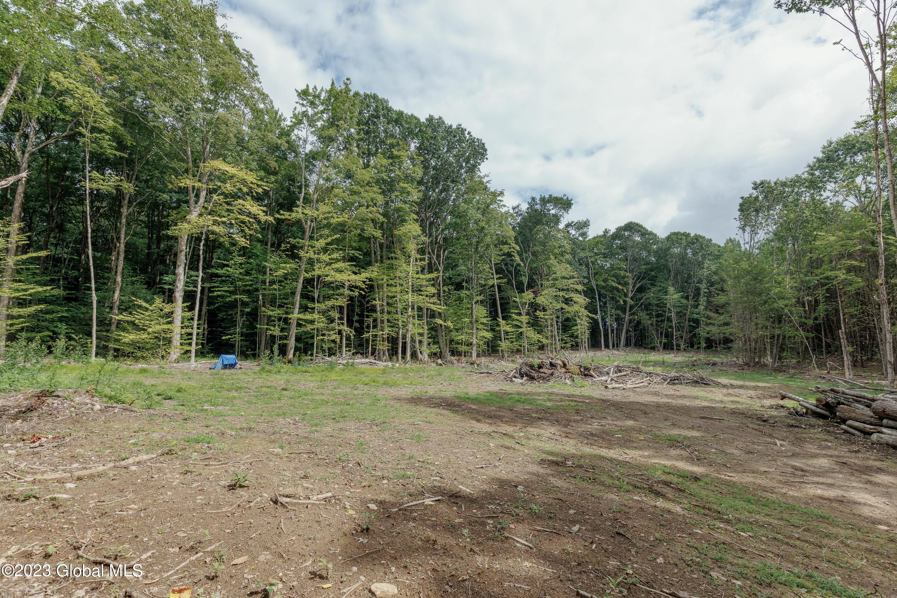 L55 Nys Rt 29 Galway, NY 12074 - Photo 9 of 27 Galway Land-7