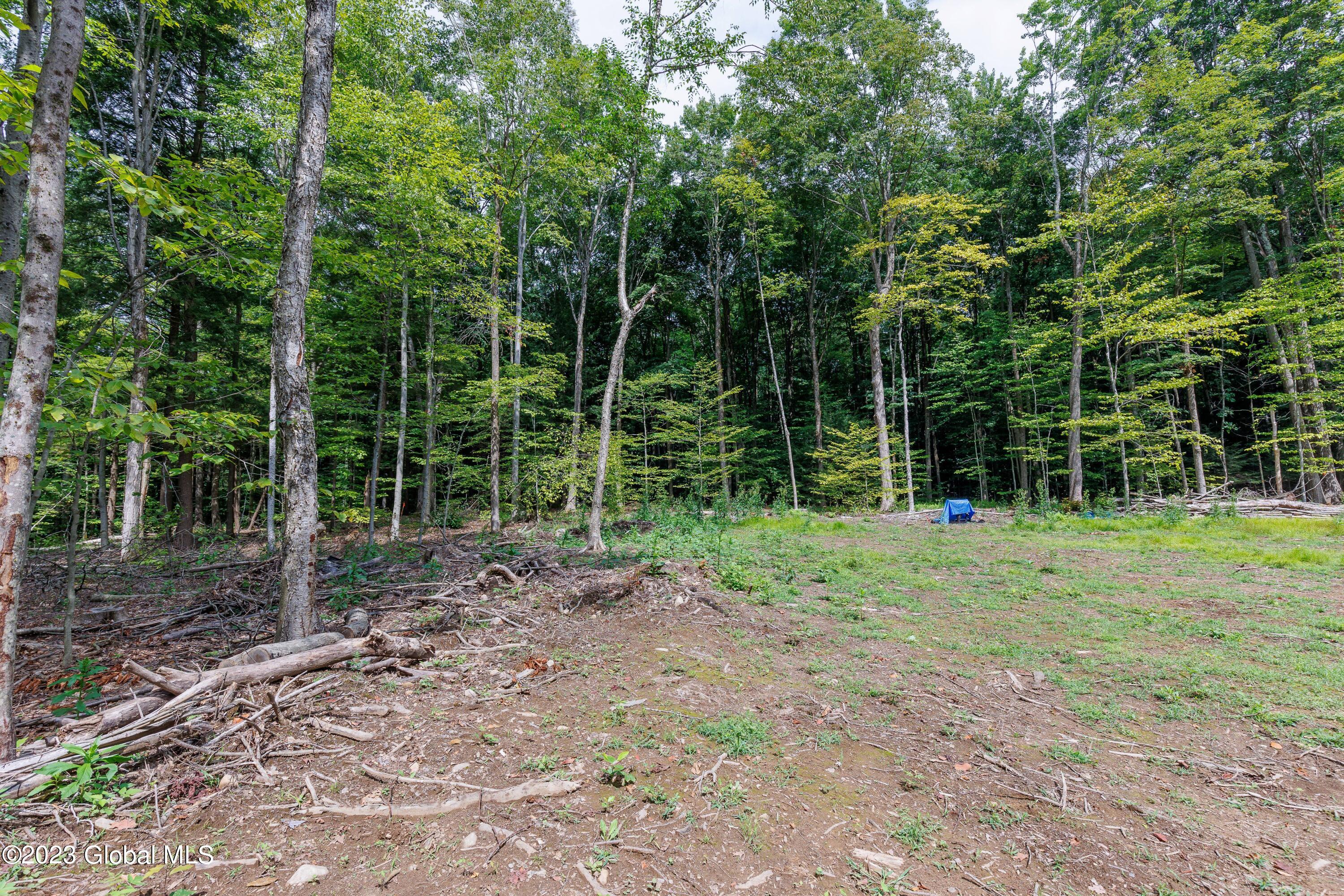 L55 Nys Rt 29 Galway, NY 12074 - Photo 10 of 27 Galway Land-8